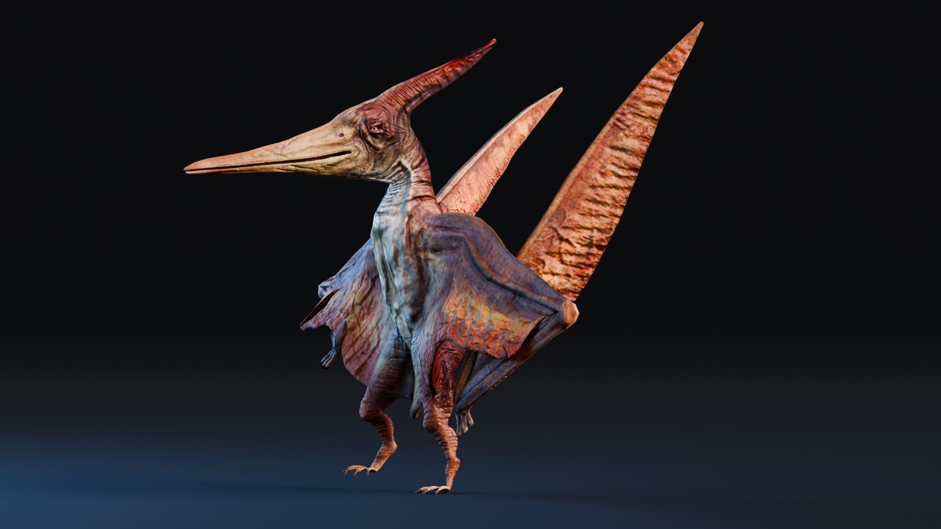 Low poly Realistic Dinosaur - Pteranodon Low-poly 3D model_3