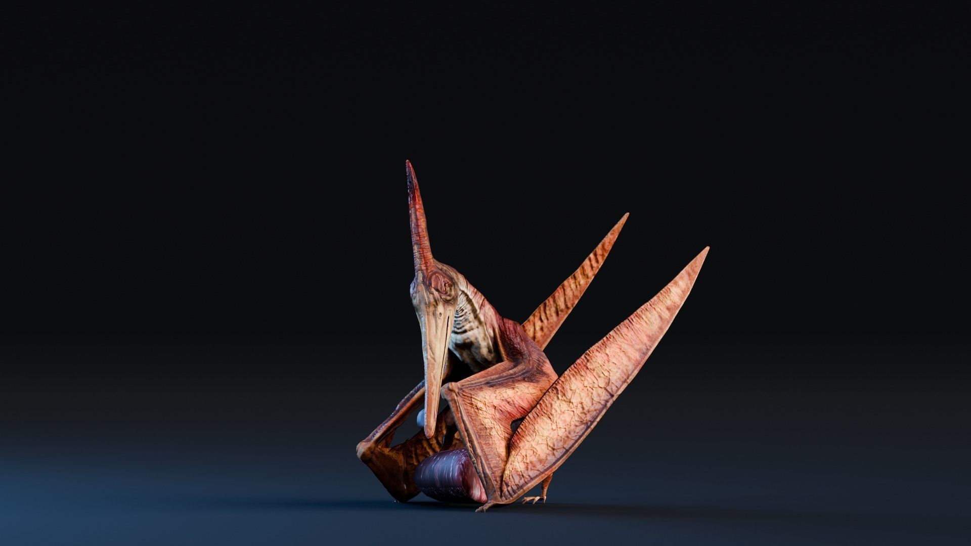 Low poly Realistic - Dinosaur Pack Low-poly 3D model_92