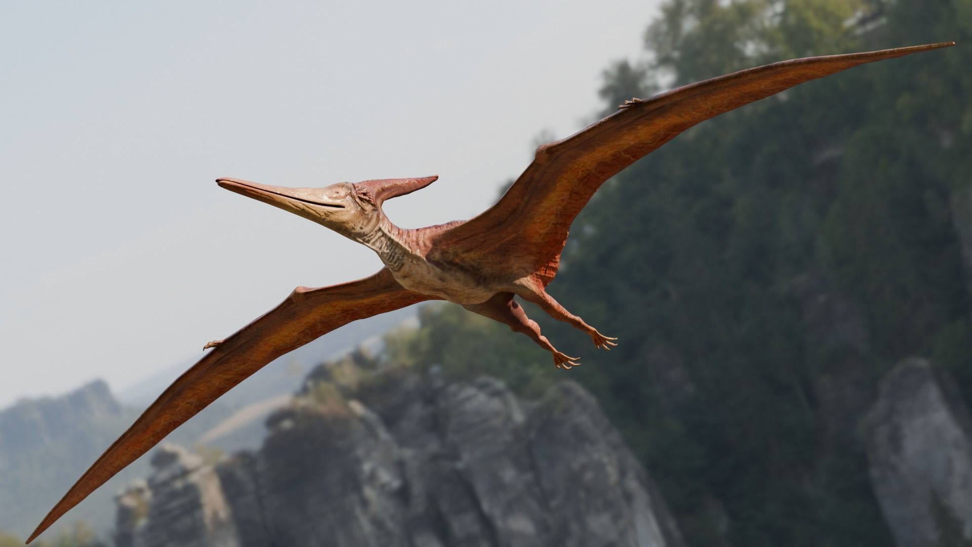 Low poly Realistic - Dinosaur Pack Low-poly 3D model_81