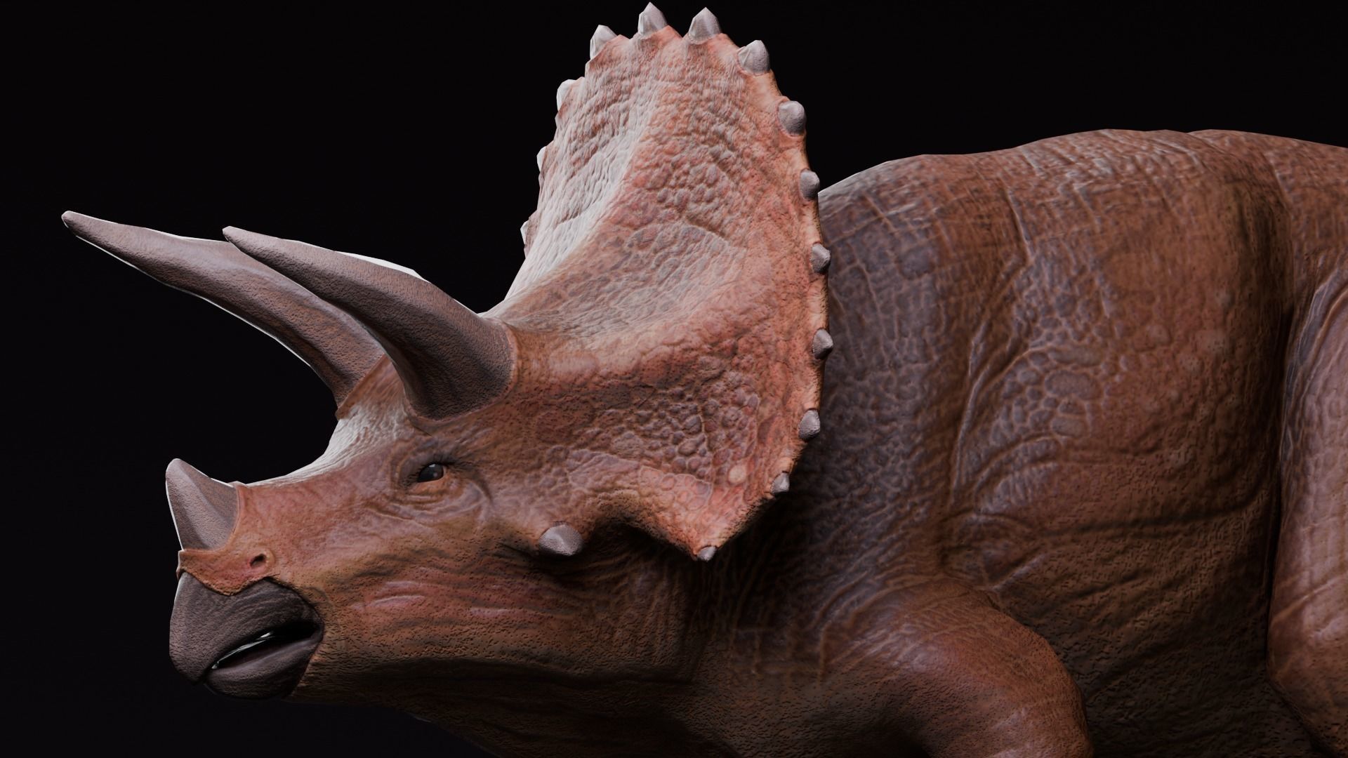 Low poly Realistic - Dinosaur Pack Low-poly 3D model_29
