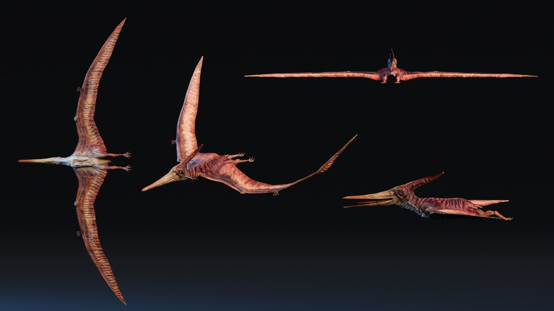 Low poly Realistic - Dinosaur Pack Low-poly 3D model_90