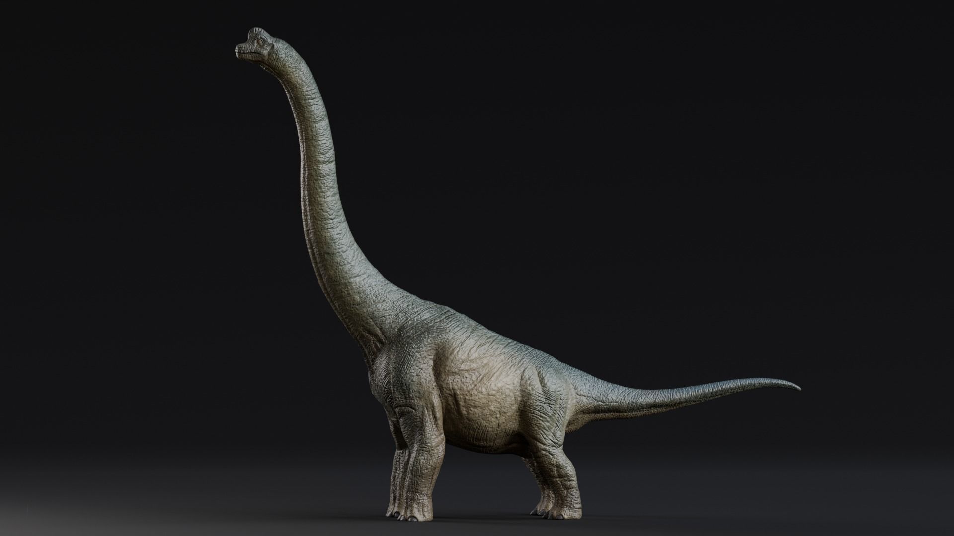 Low poly Realistic - Dinosaur Pack Low-poly 3D model_65
