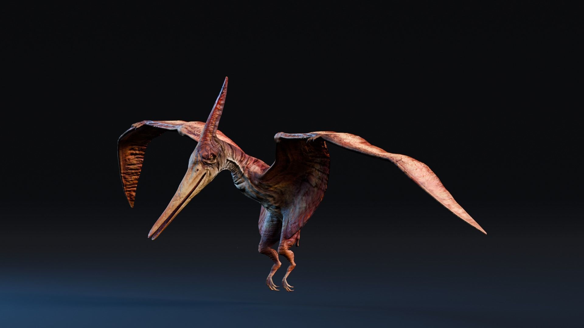 Low poly Realistic - Dinosaur Pack Low-poly 3D model_88