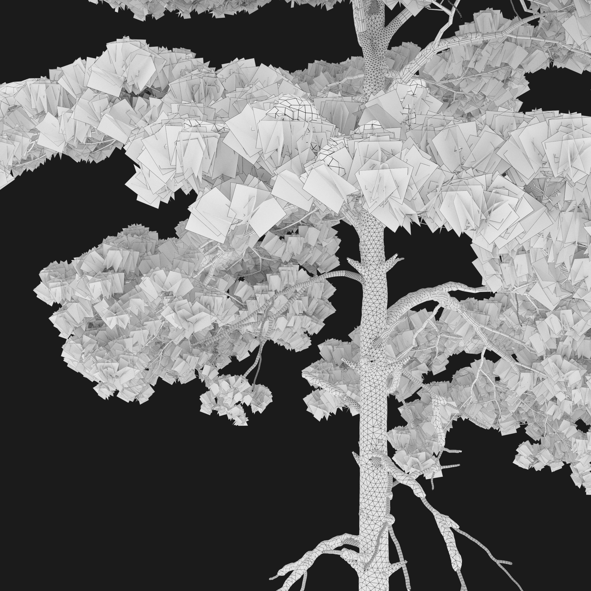 Winter pinus sylvestris 04 3D model_5