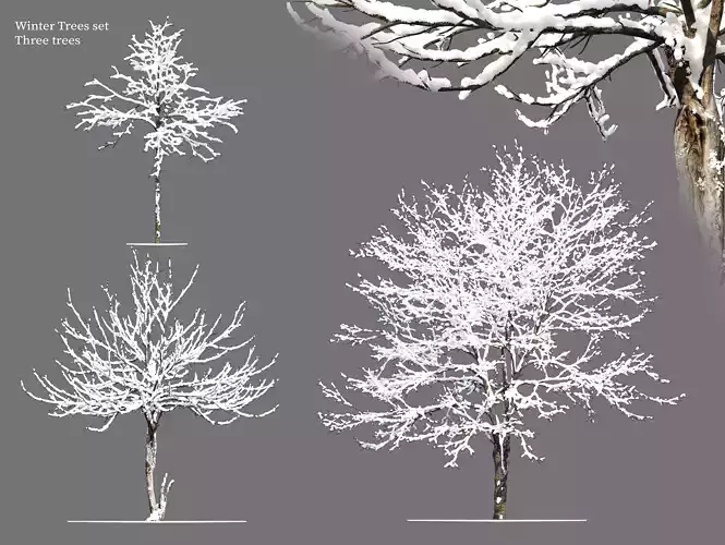 Winter trees set
