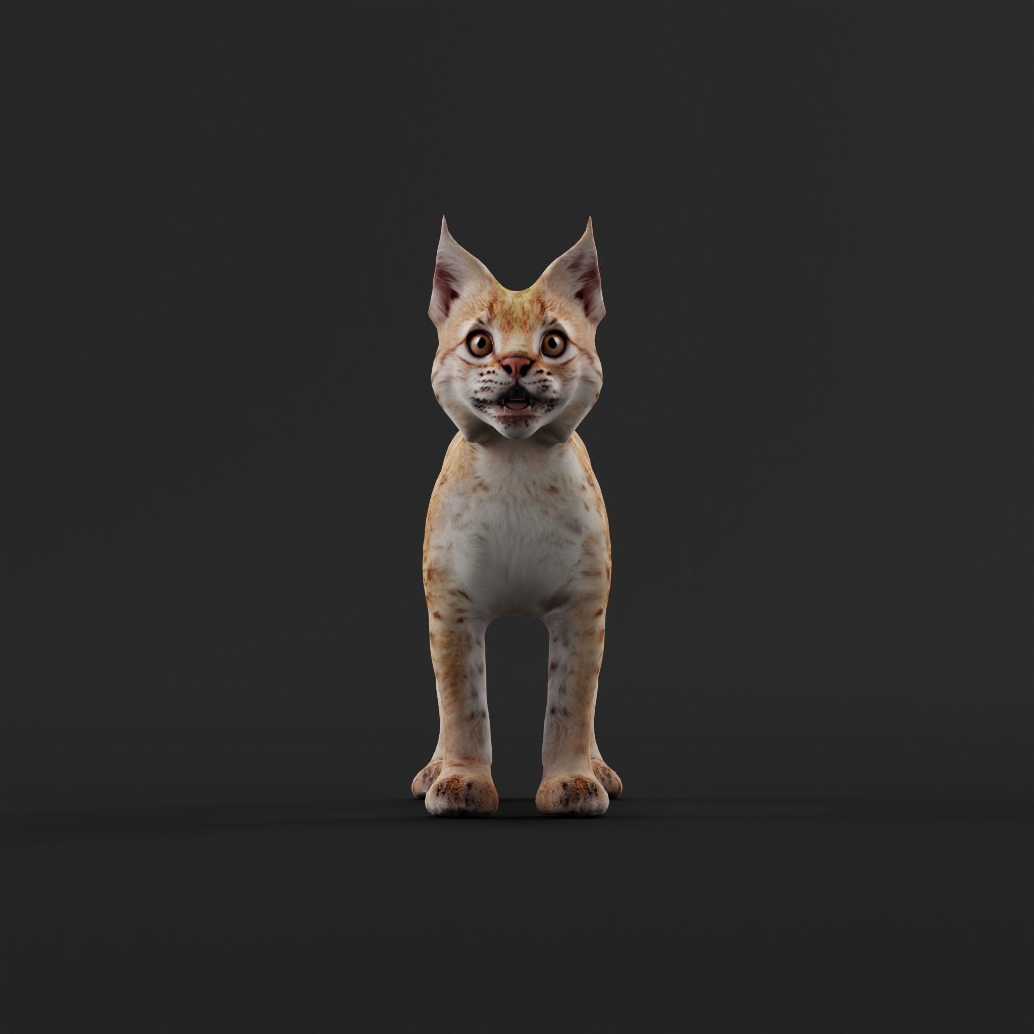 Eurasian Lynx Cub 3D model_23