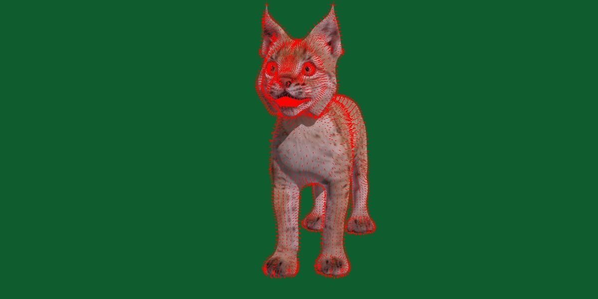 Eurasian Lynx Cub 3D model_7