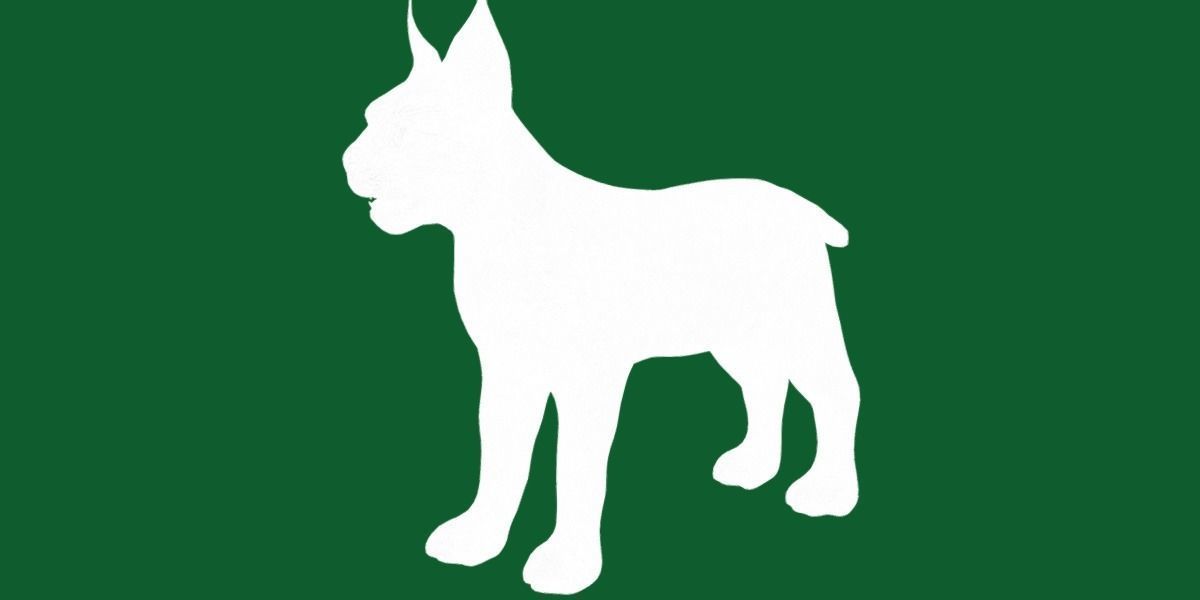 Eurasian Lynx Cub 3D model_16