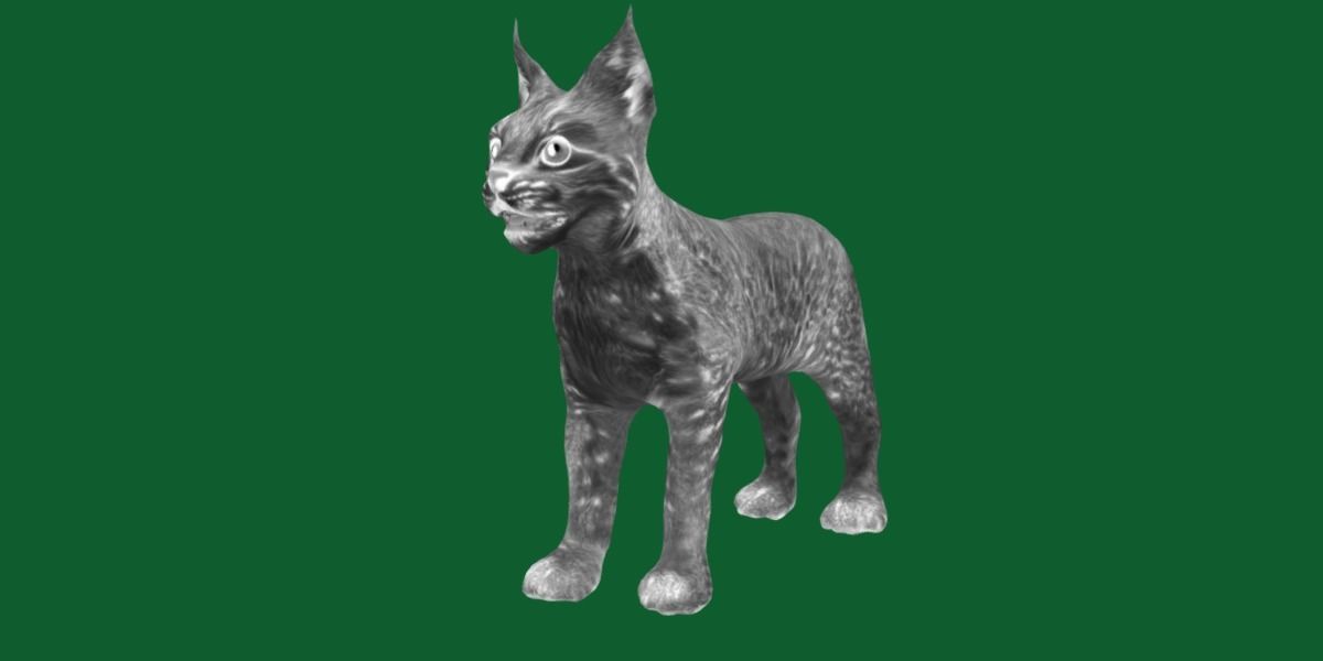 Eurasian Lynx Cub 3D model_18