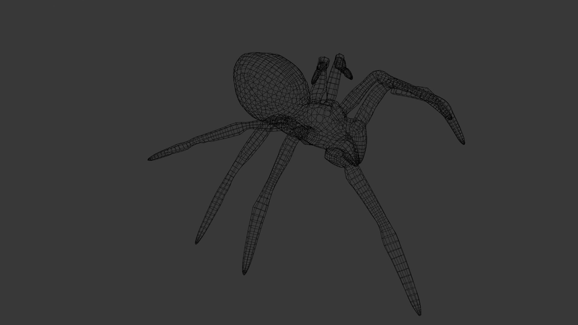Spider Animated and Rigged  Low-poly 3D model_10