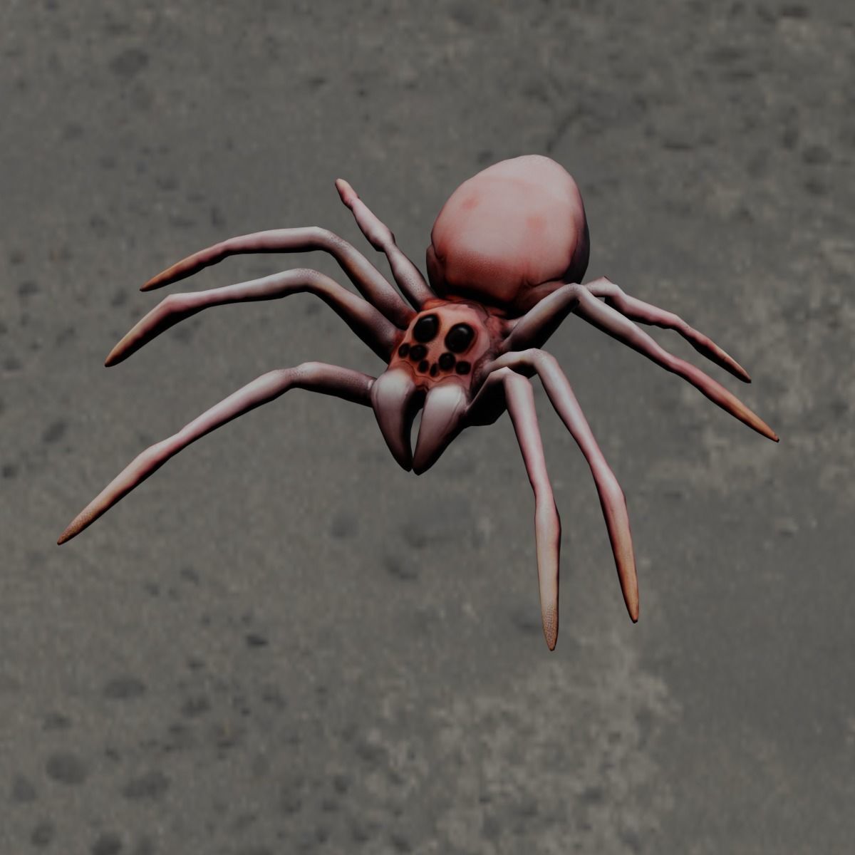 Spider Animated and Rigged  Low-poly 3D model_7