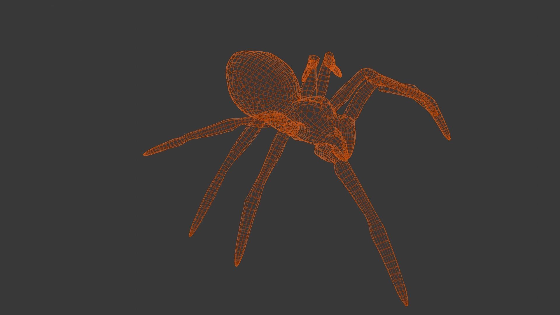 Spider Animated and Rigged  Low-poly 3D model_11