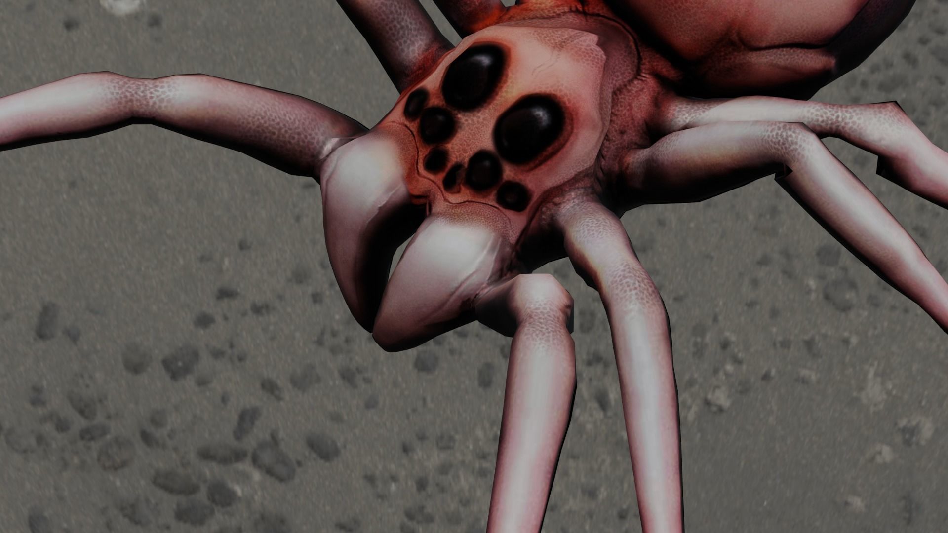 Spider Animated and Rigged  Low-poly 3D model_1