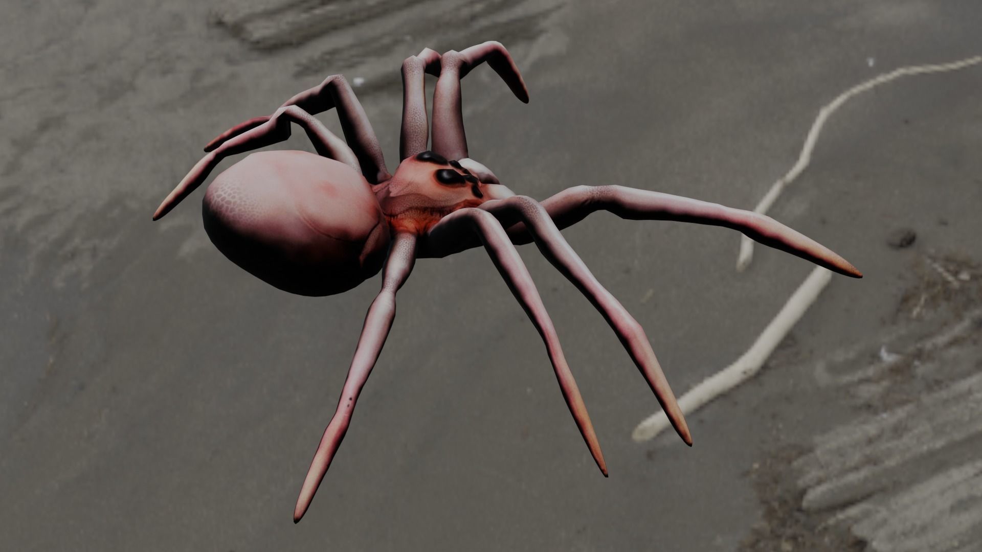 Spider Animated and Rigged  Low-poly 3D model_18
