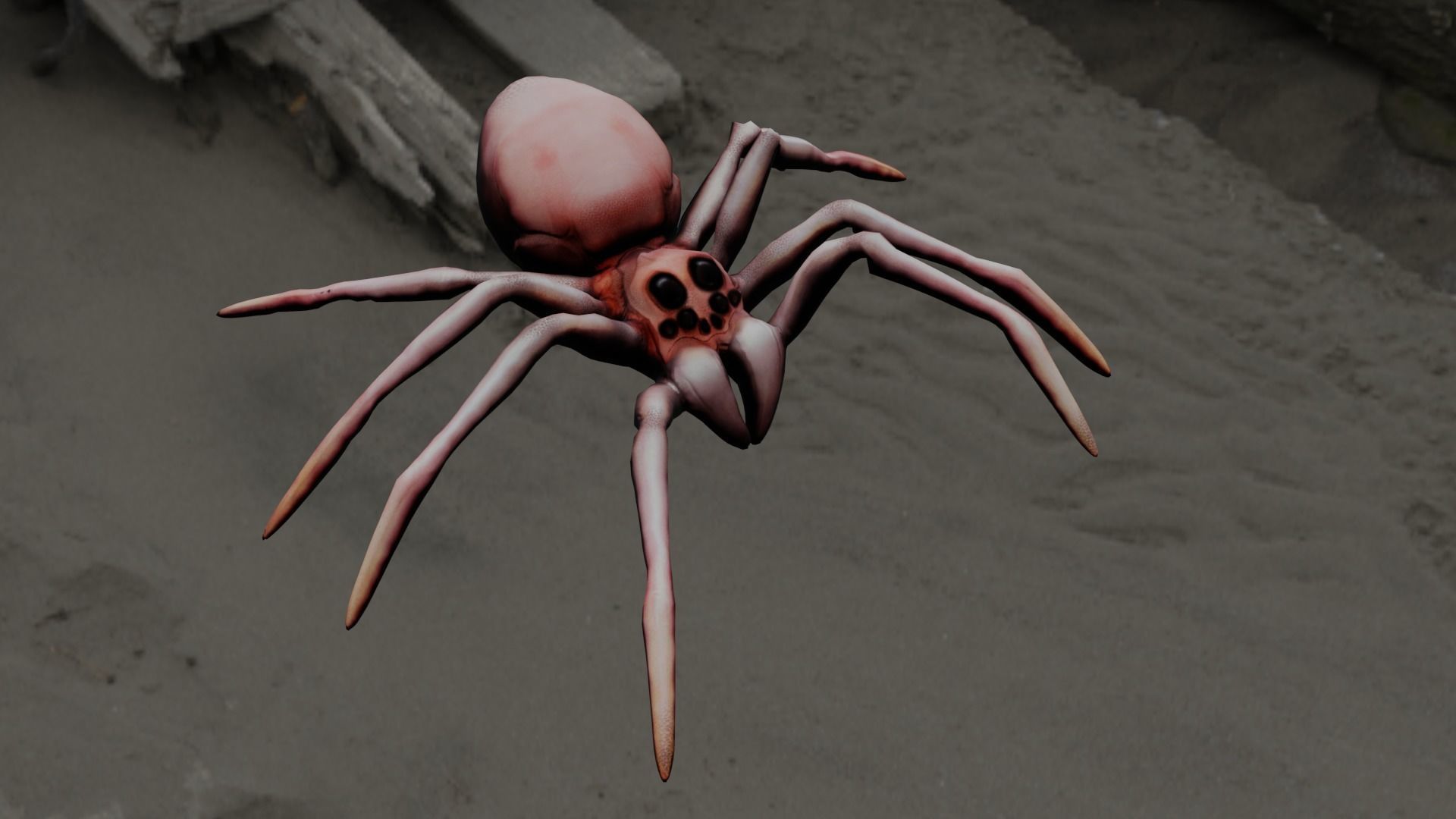 Spider Animated and Rigged  Low-poly 3D model_13