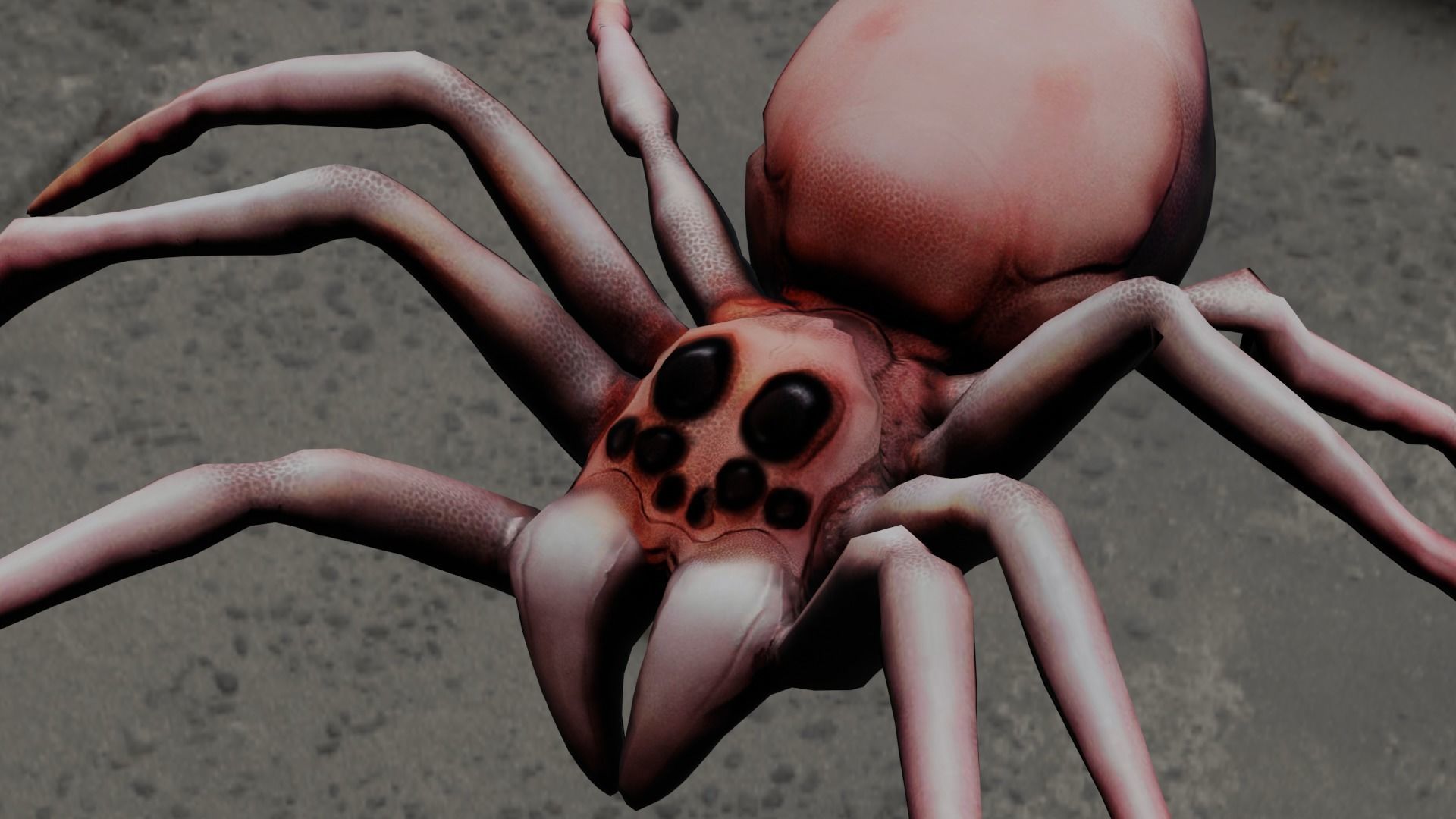Spider Animated and Rigged  Low-poly 3D model_16
