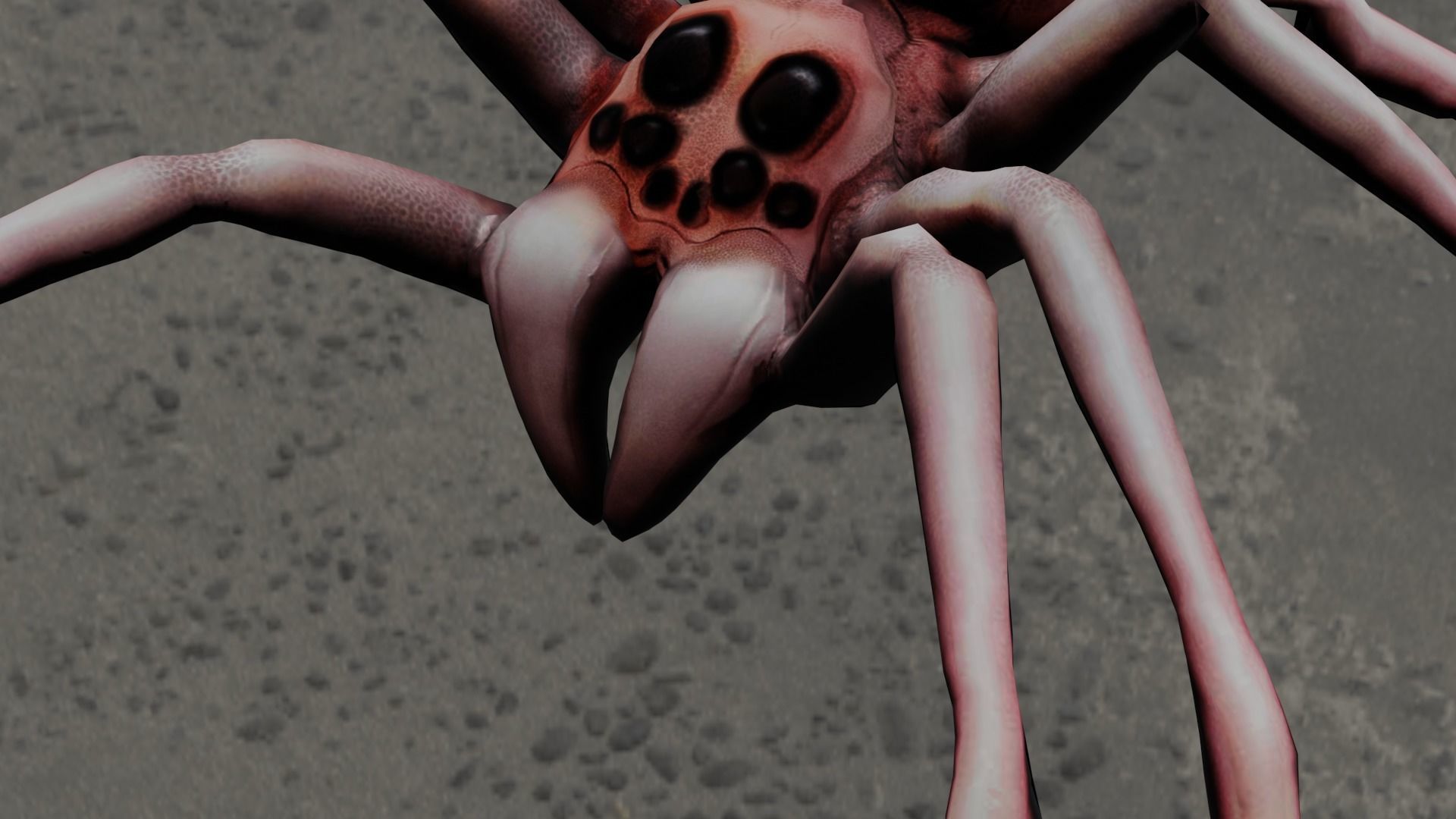 Spider Animated and Rigged  Low-poly 3D model_15