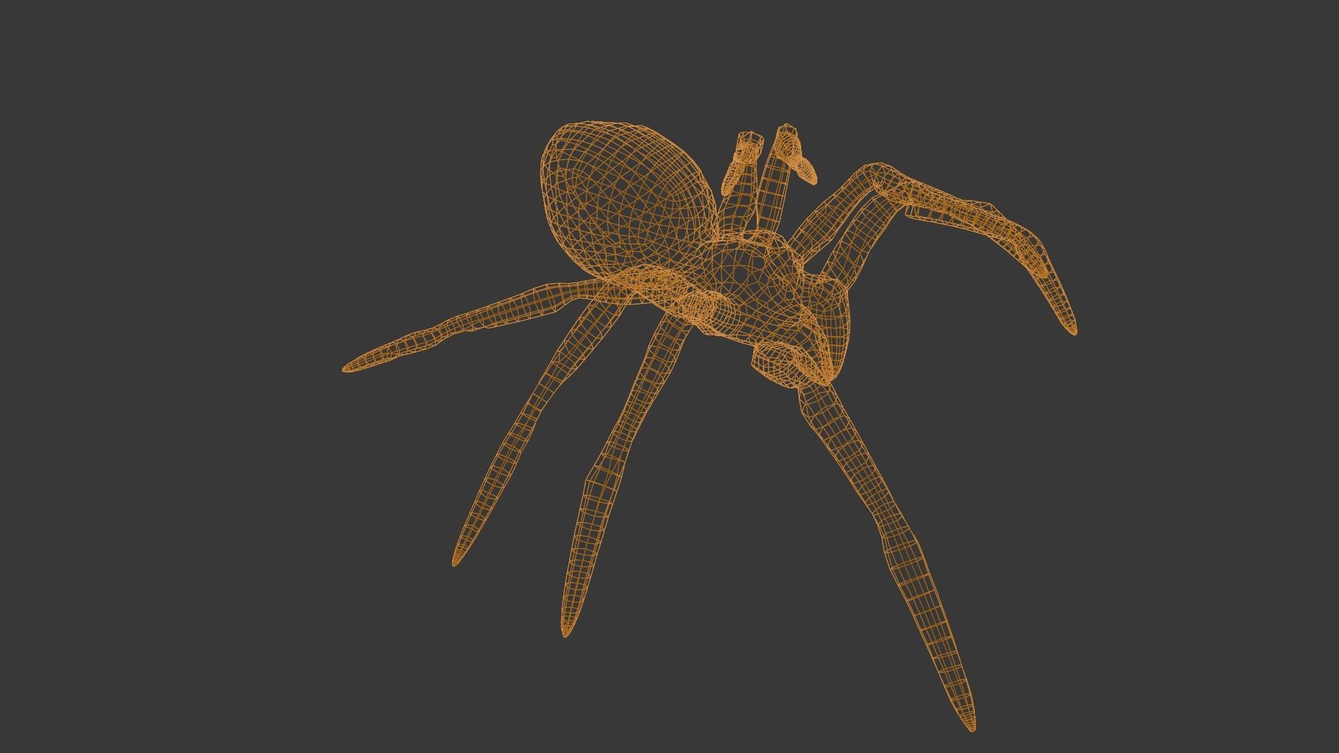 Spider Animated and Rigged  Low-poly 3D model_12