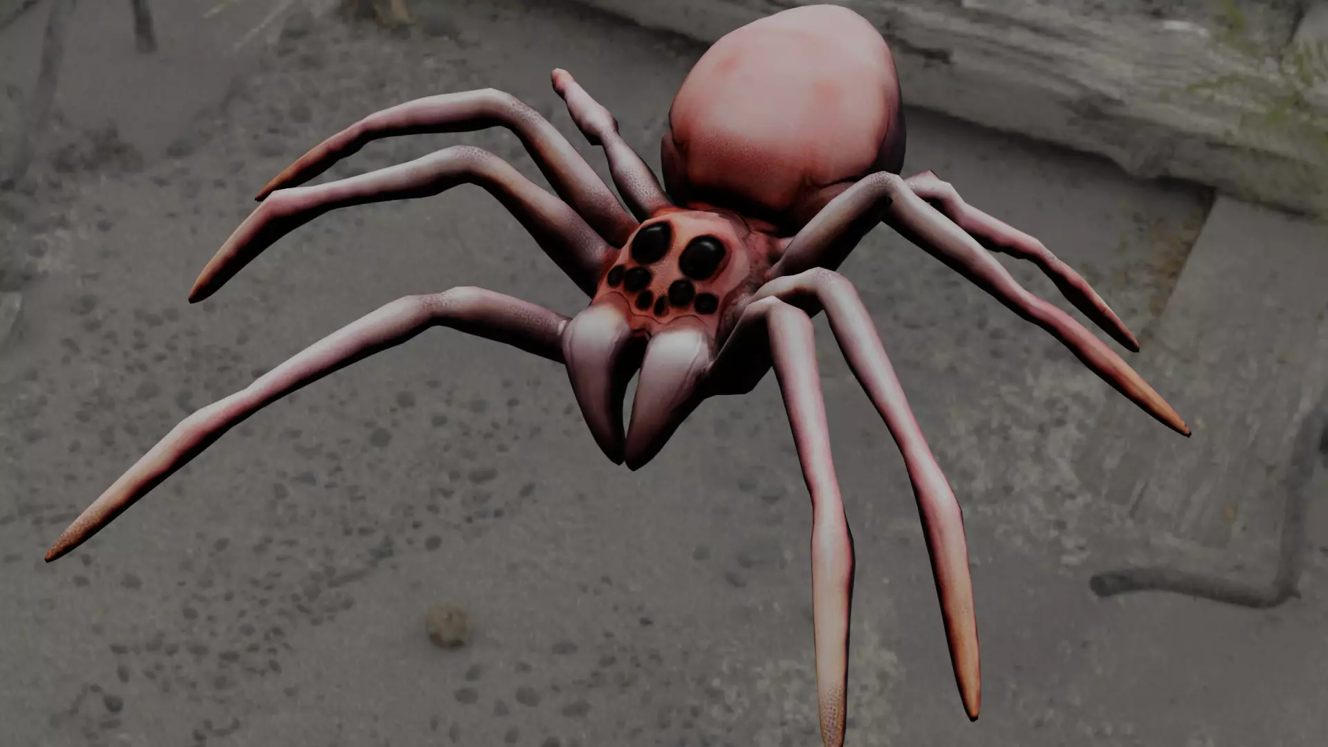 Spider Animated and Rigged  Low-poly 3D model_0