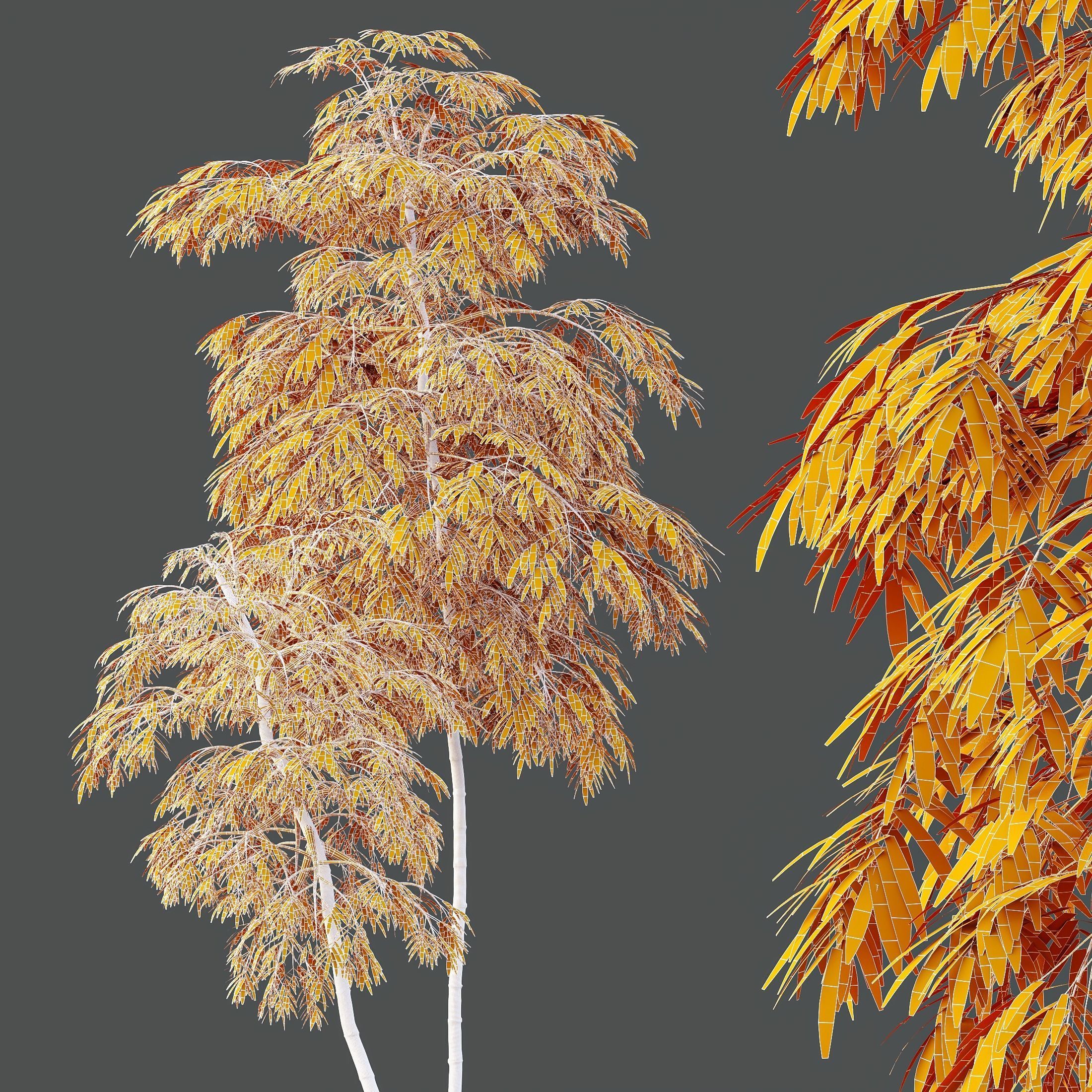 HQ Plants Bamboo Bambusoideae Tree 3D model_4