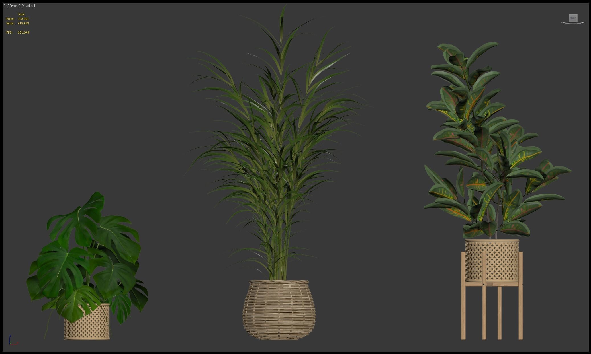Plants collection 210 - monstera benjamina palm croton cactus 3D model_27