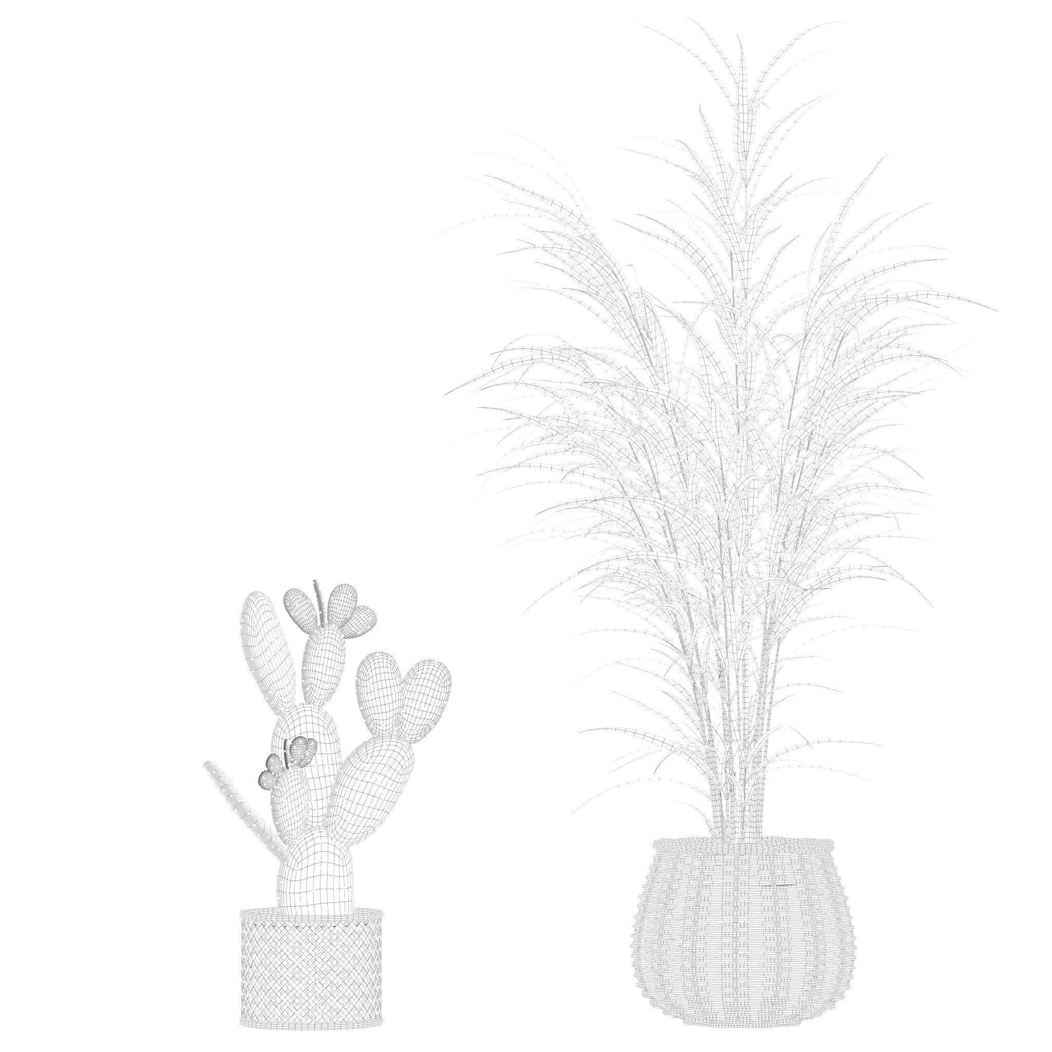 Plants collection 210 - monstera benjamina palm croton cactus 3D model_16