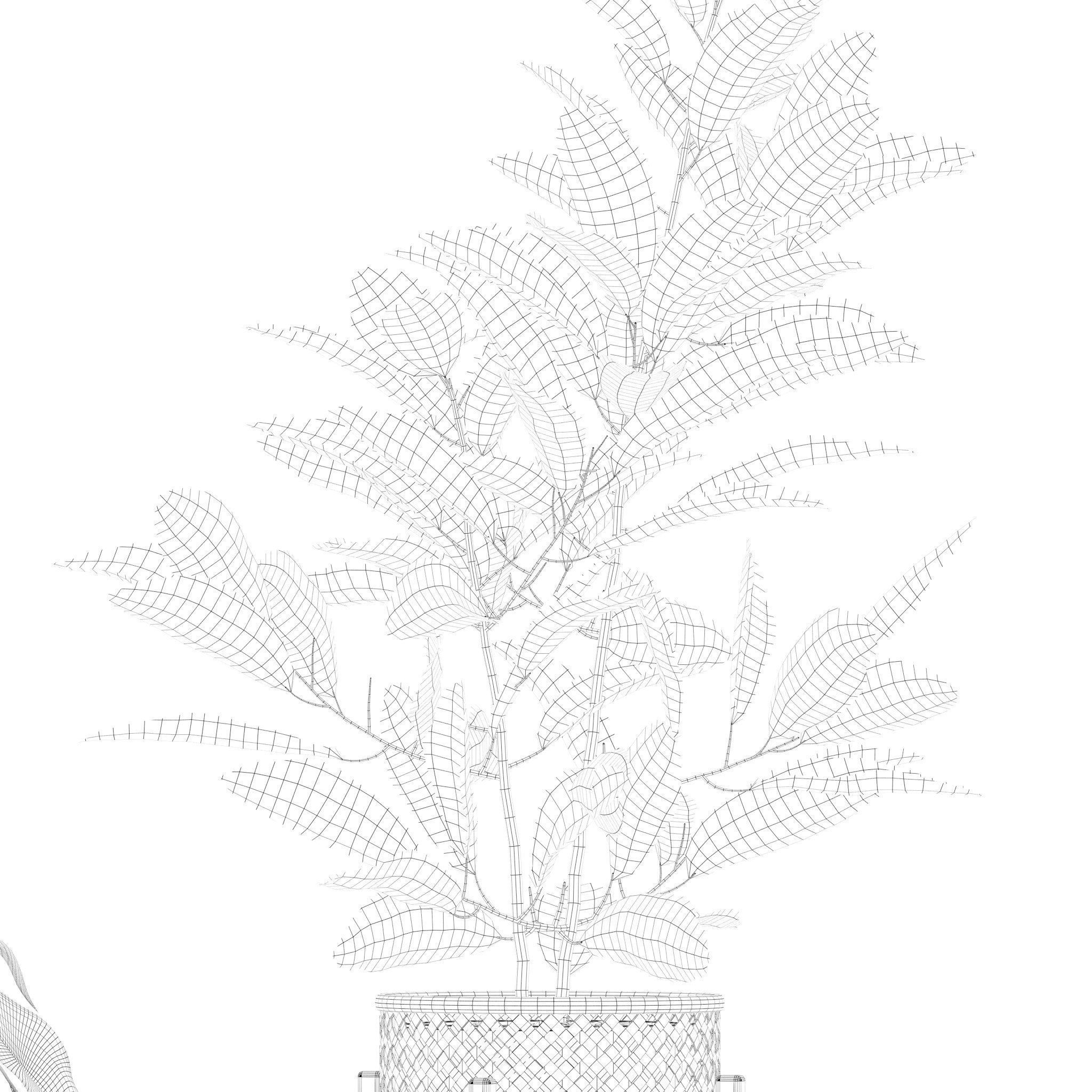 Plants collection 210 - monstera benjamina palm croton cactus 3D model_22