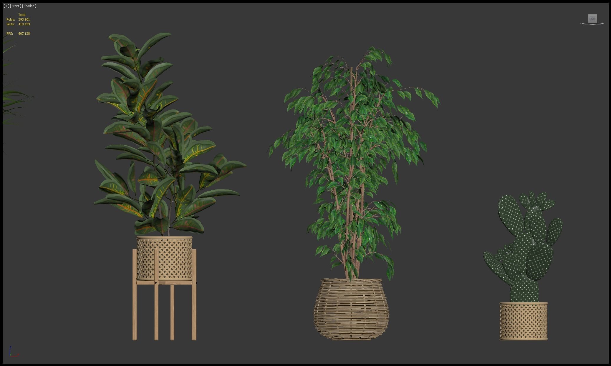 Plants collection 210 - monstera benjamina palm croton cactus 3D model_26
