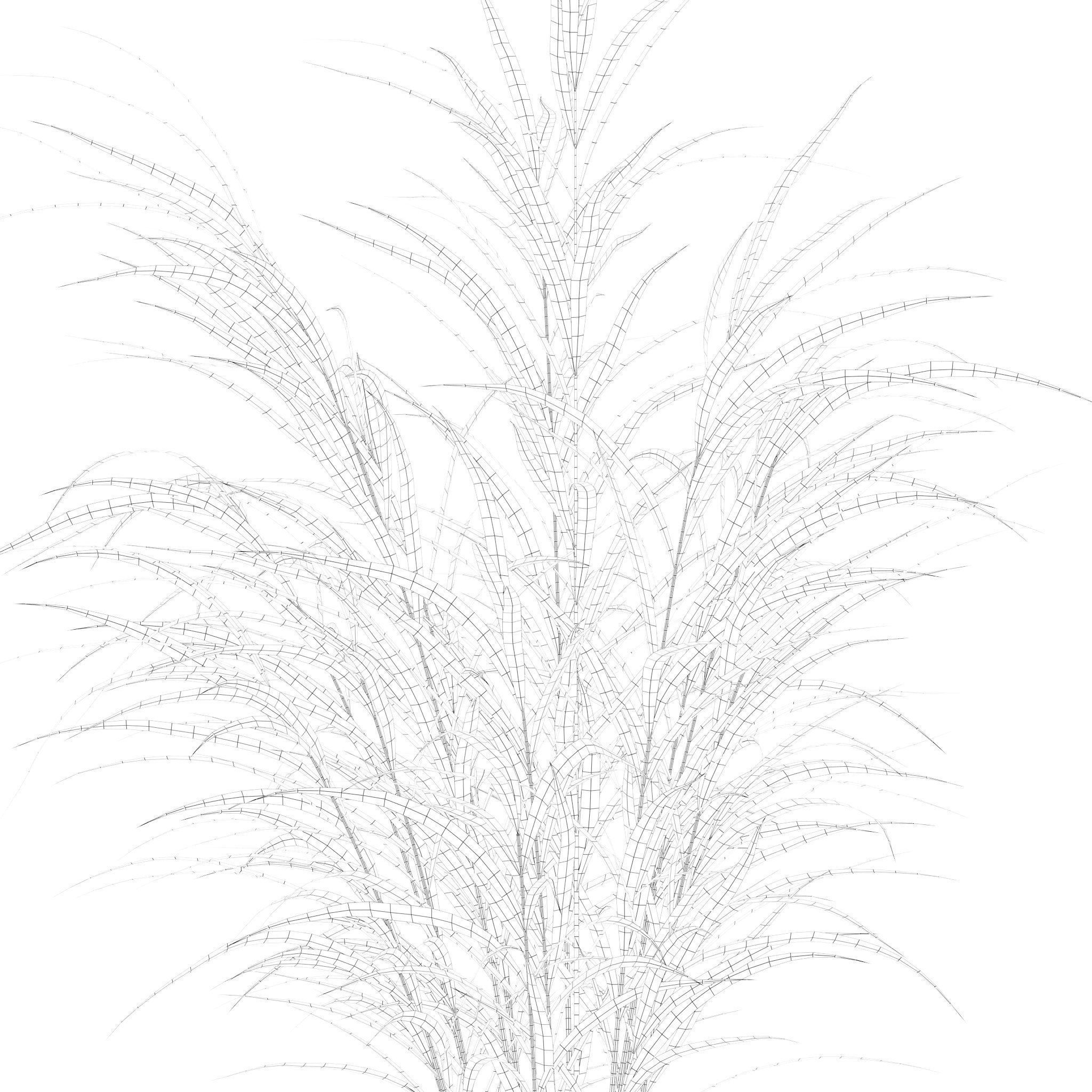 Plants collection 210 - monstera benjamina palm croton cactus 3D model_19