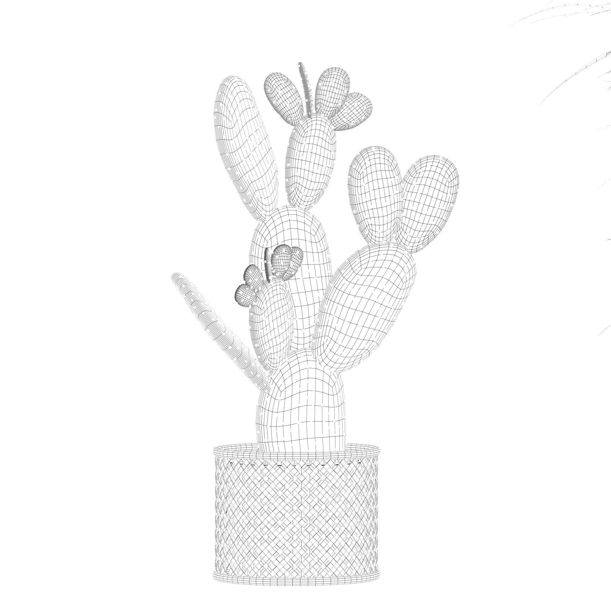 Plants collection 210 - monstera benjamina palm croton cactus 3D model_17