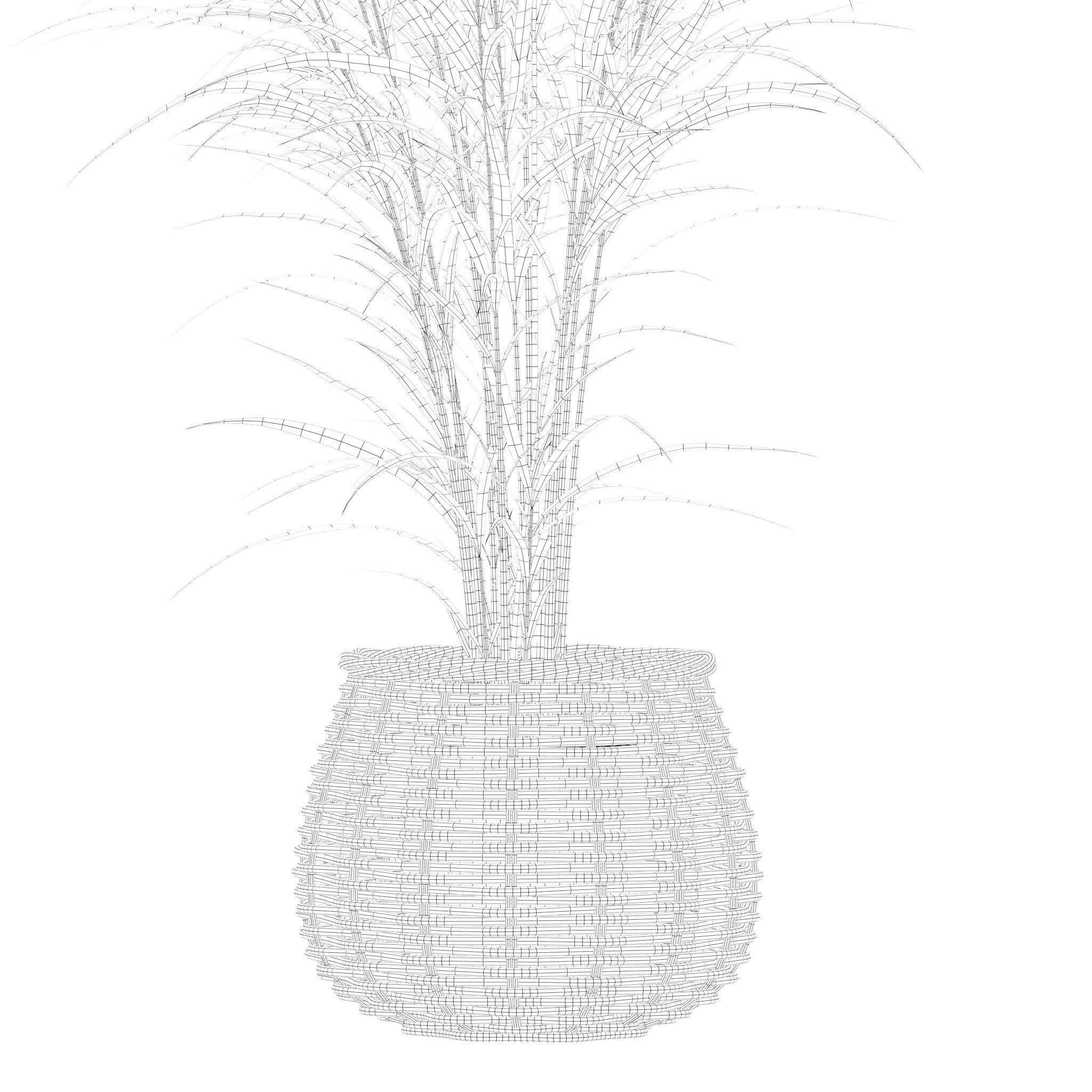 Plants collection 210 - monstera benjamina palm croton cactus 3D model_18