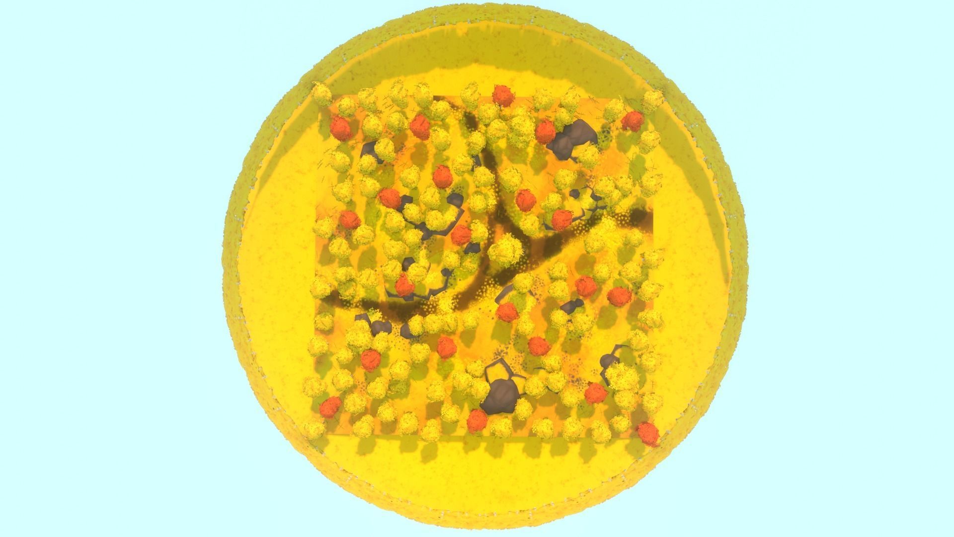 Autumn Forest - Hand Painted Low-poly 3D model_10