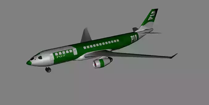 Passenger Plane PIA Airbus