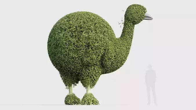 Ostrich 3D model
