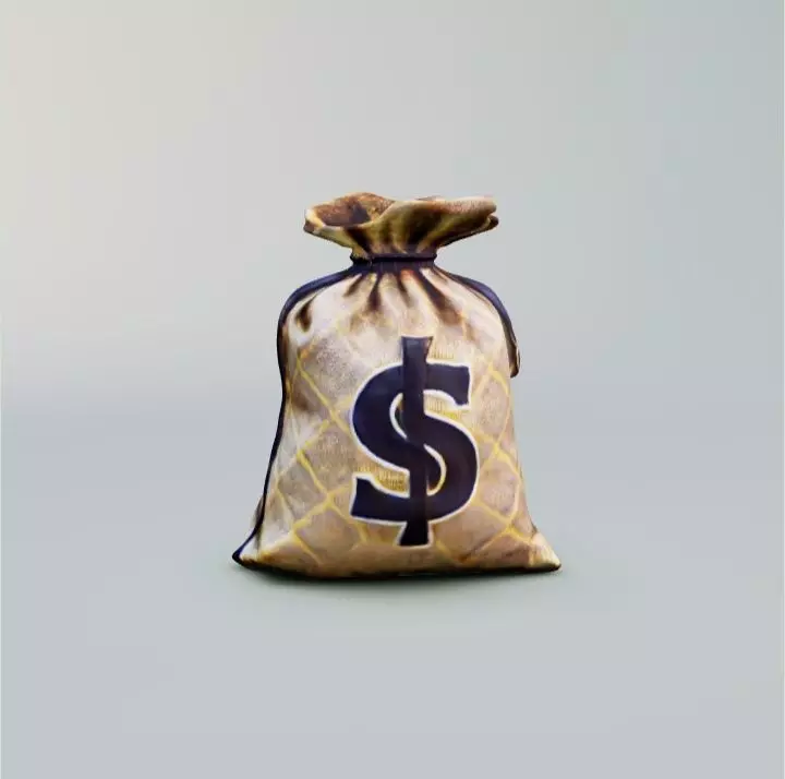 Bag with money 3D model_0