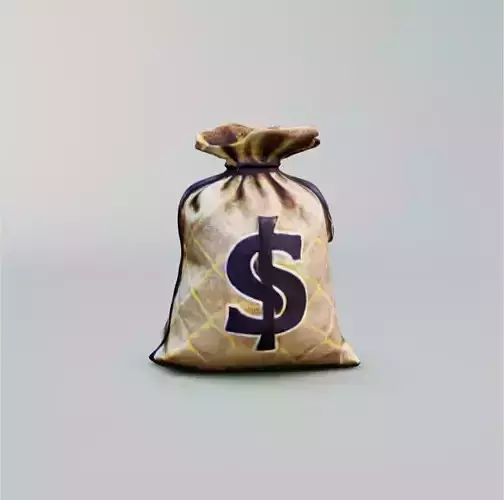 Bag with money