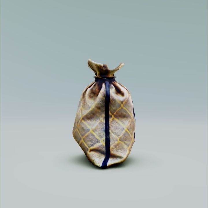 Bag with money 3D model_2