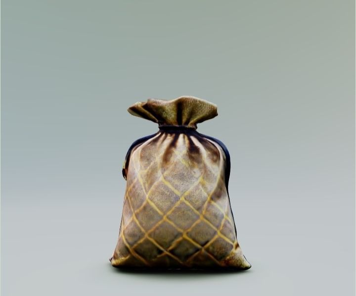 Bag with money 3D model_3