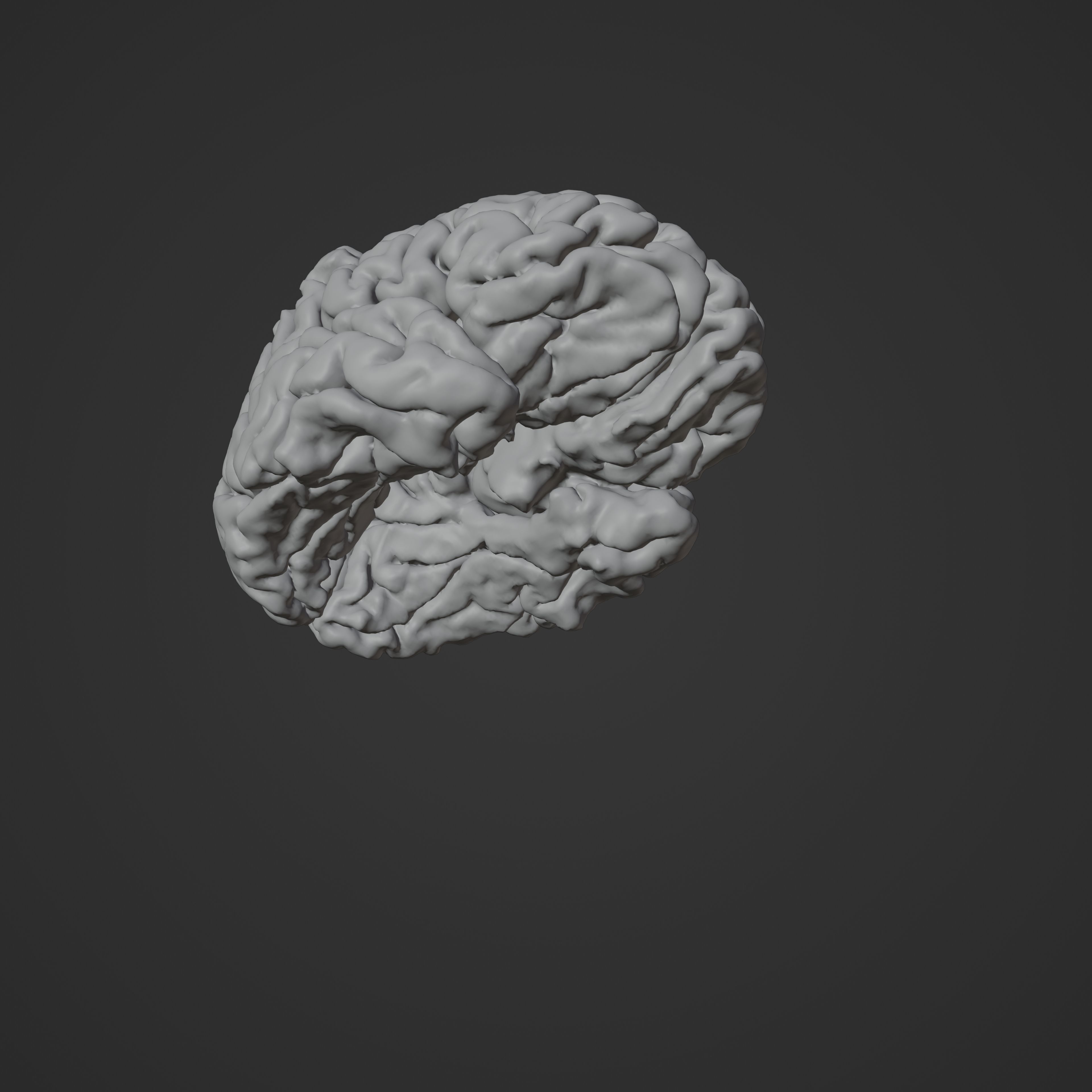 Brain Hologram Animated 3D model_15