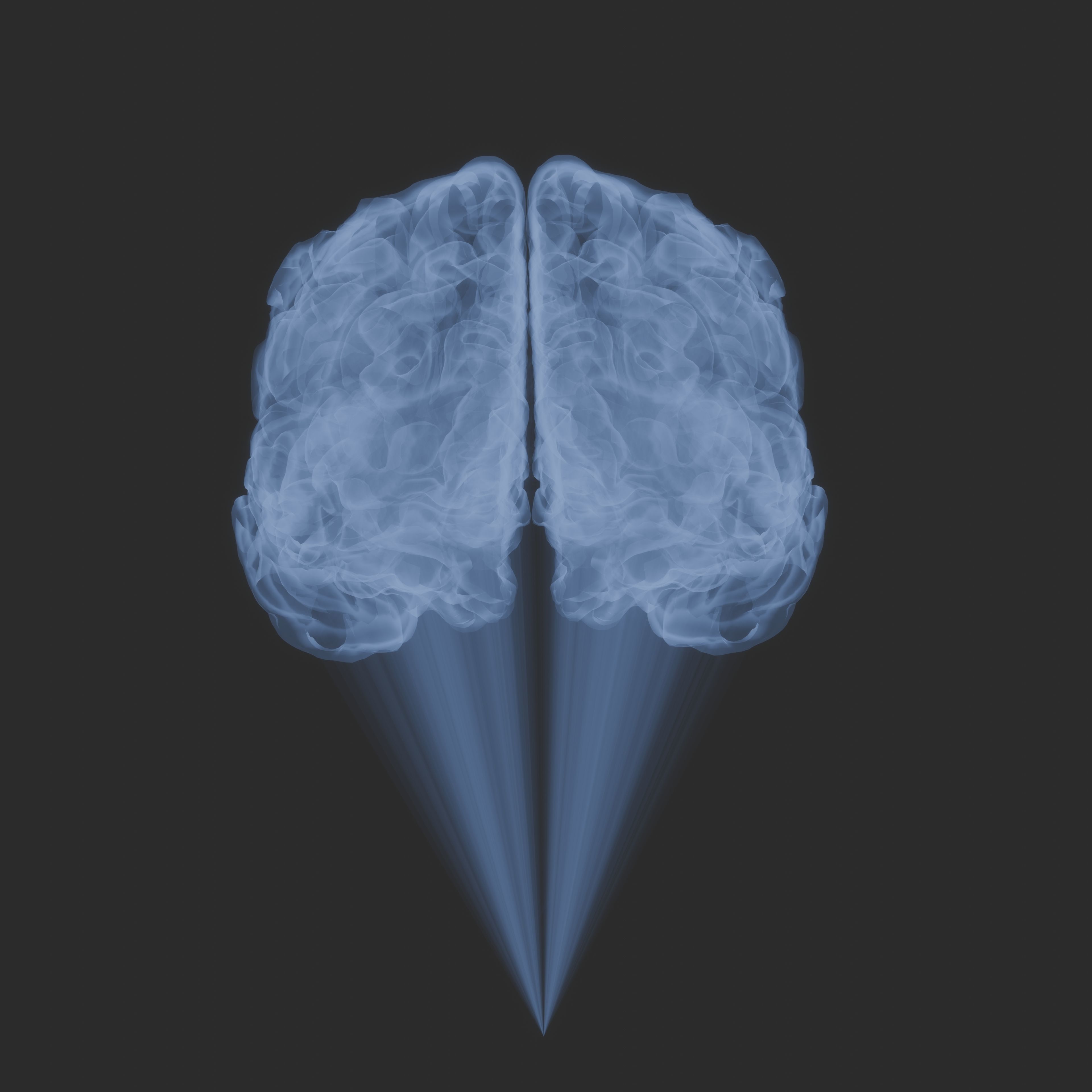 Brain Hologram Animated 3D model_2