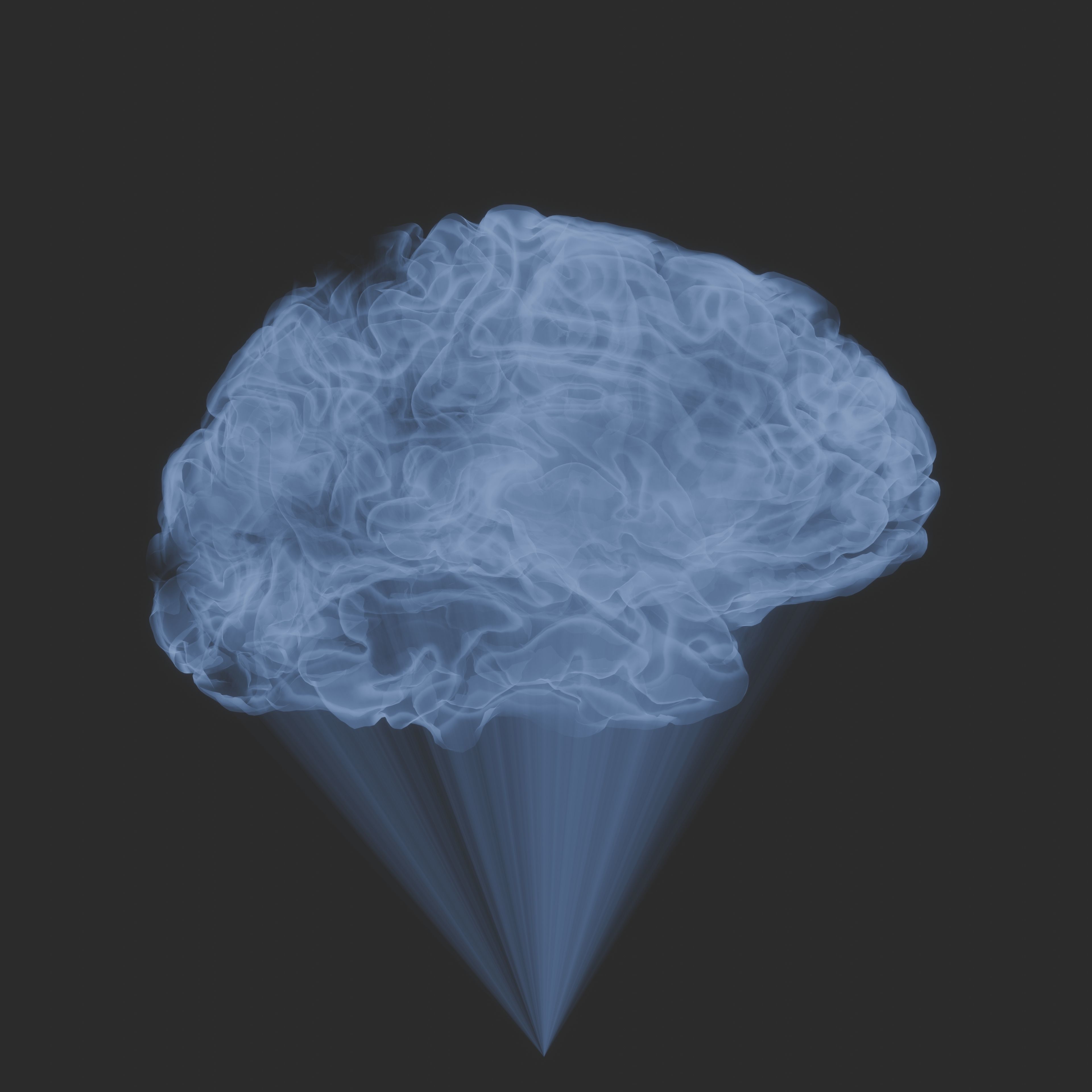 Brain Hologram Animated 3D model_7