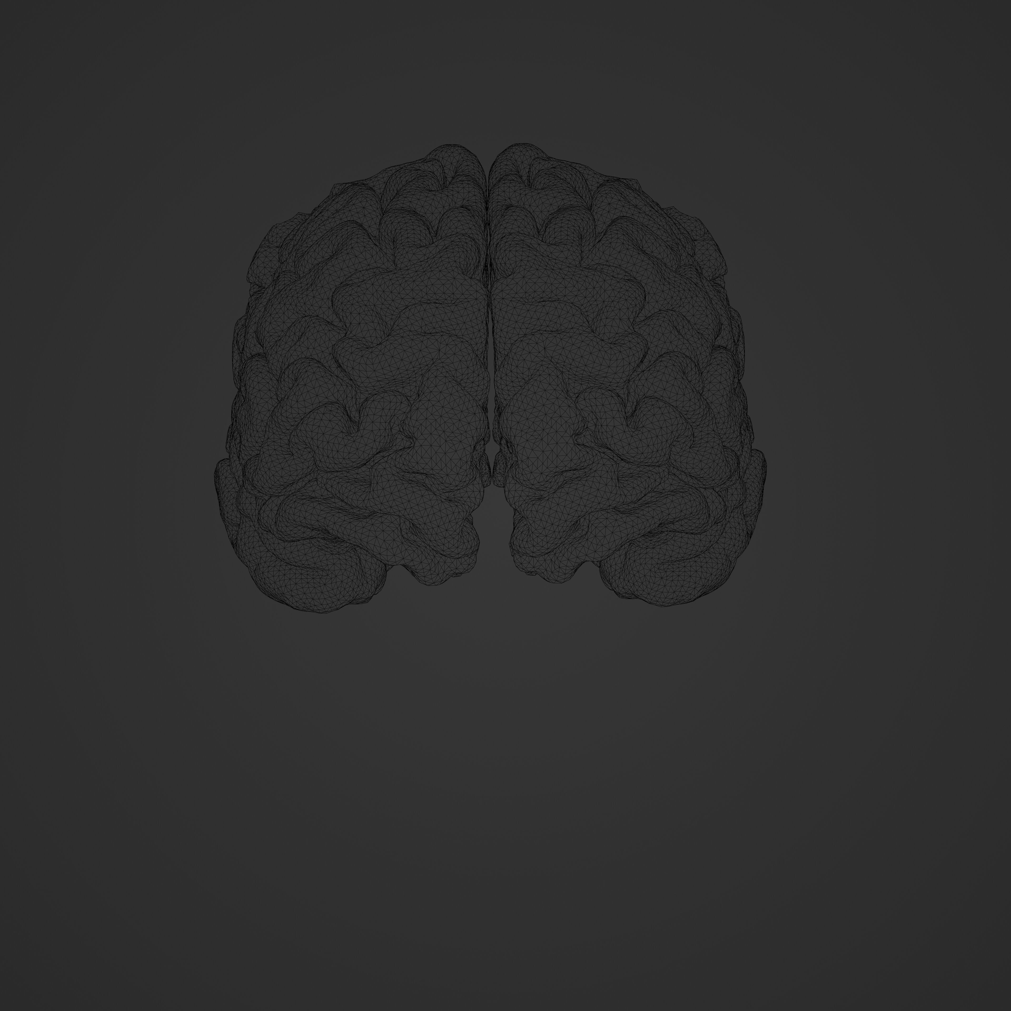 Brain Hologram Animated 3D model_6