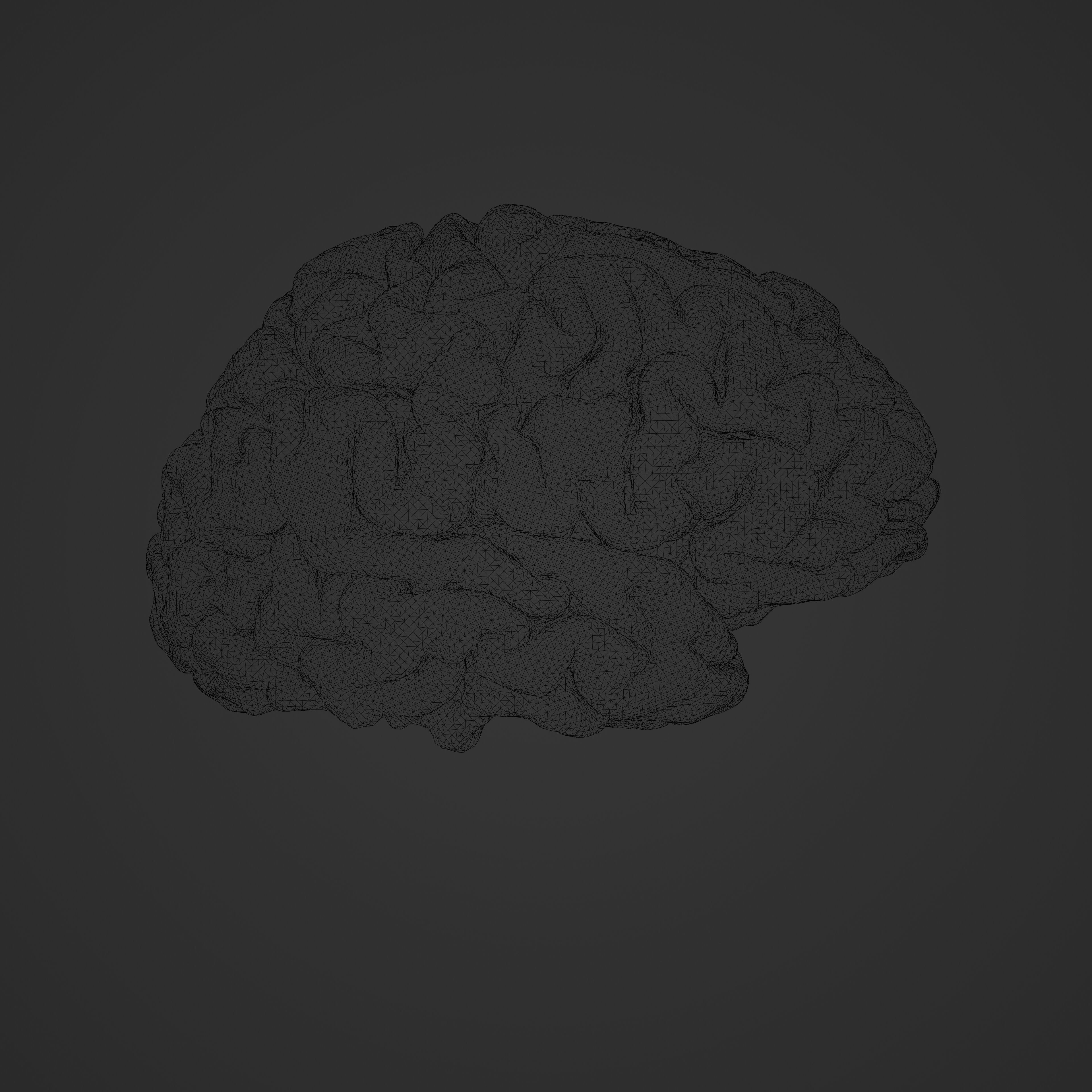 Brain Hologram Animated 3D model_11