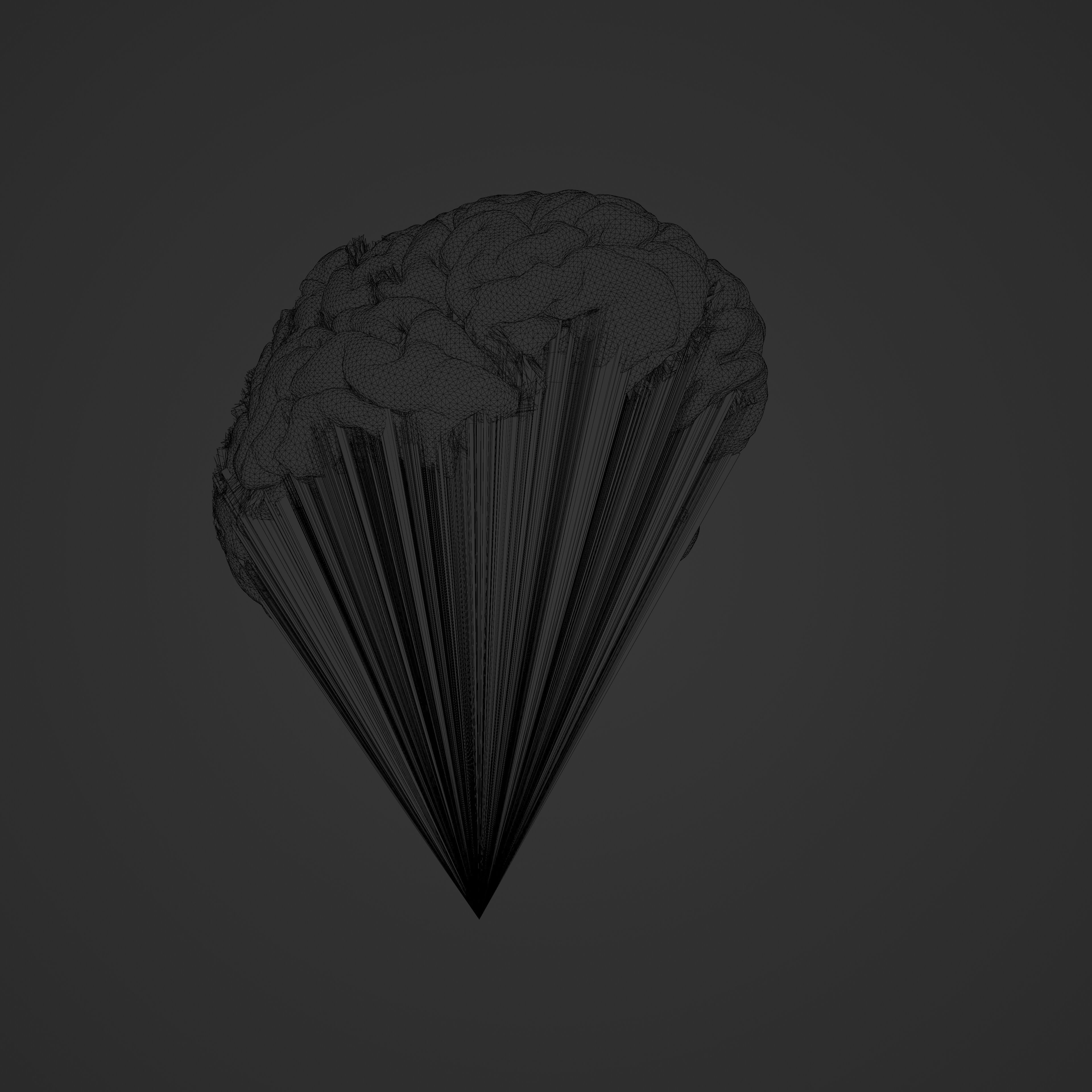 Brain Hologram Animated 3D model_14