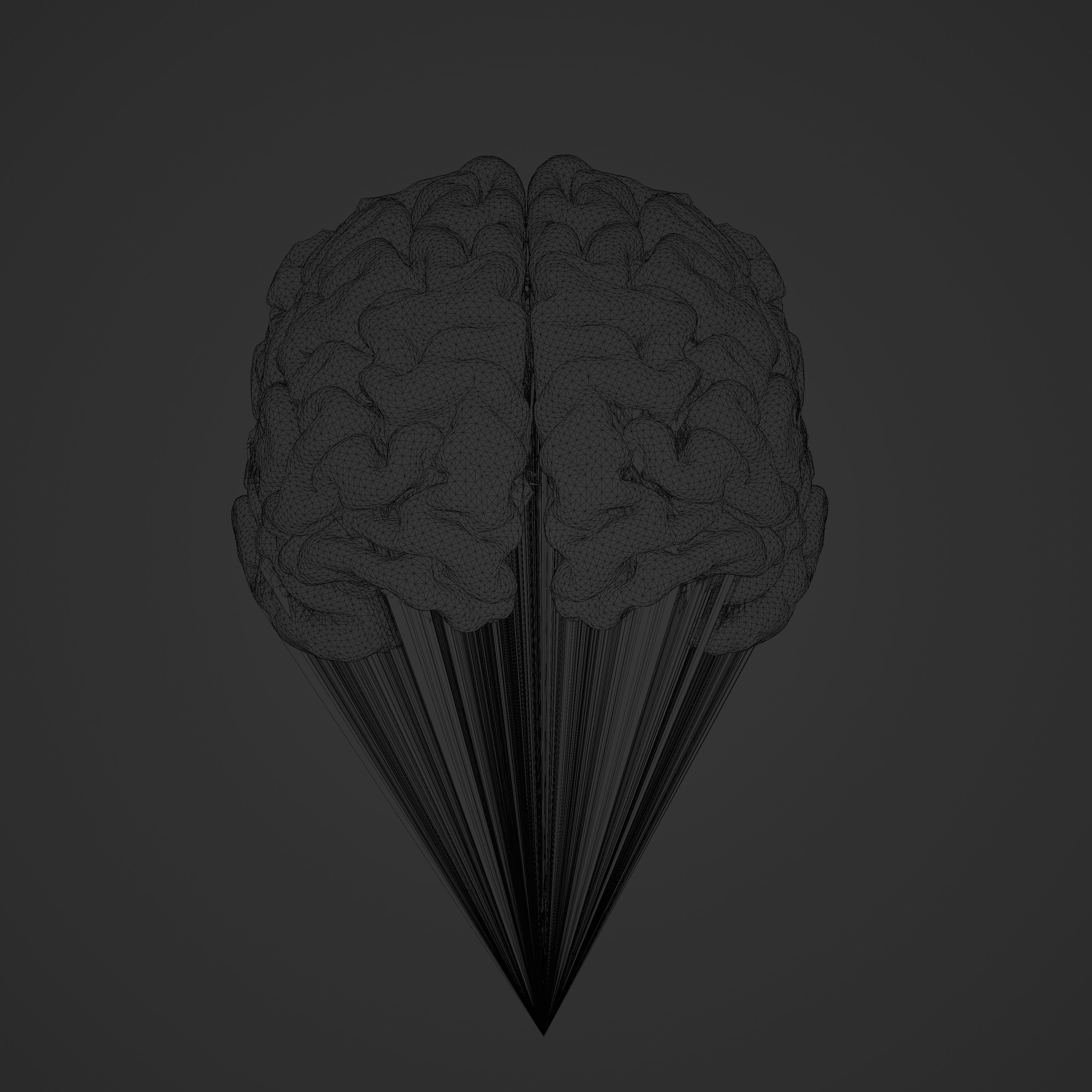 Brain Hologram Animated 3D model_4