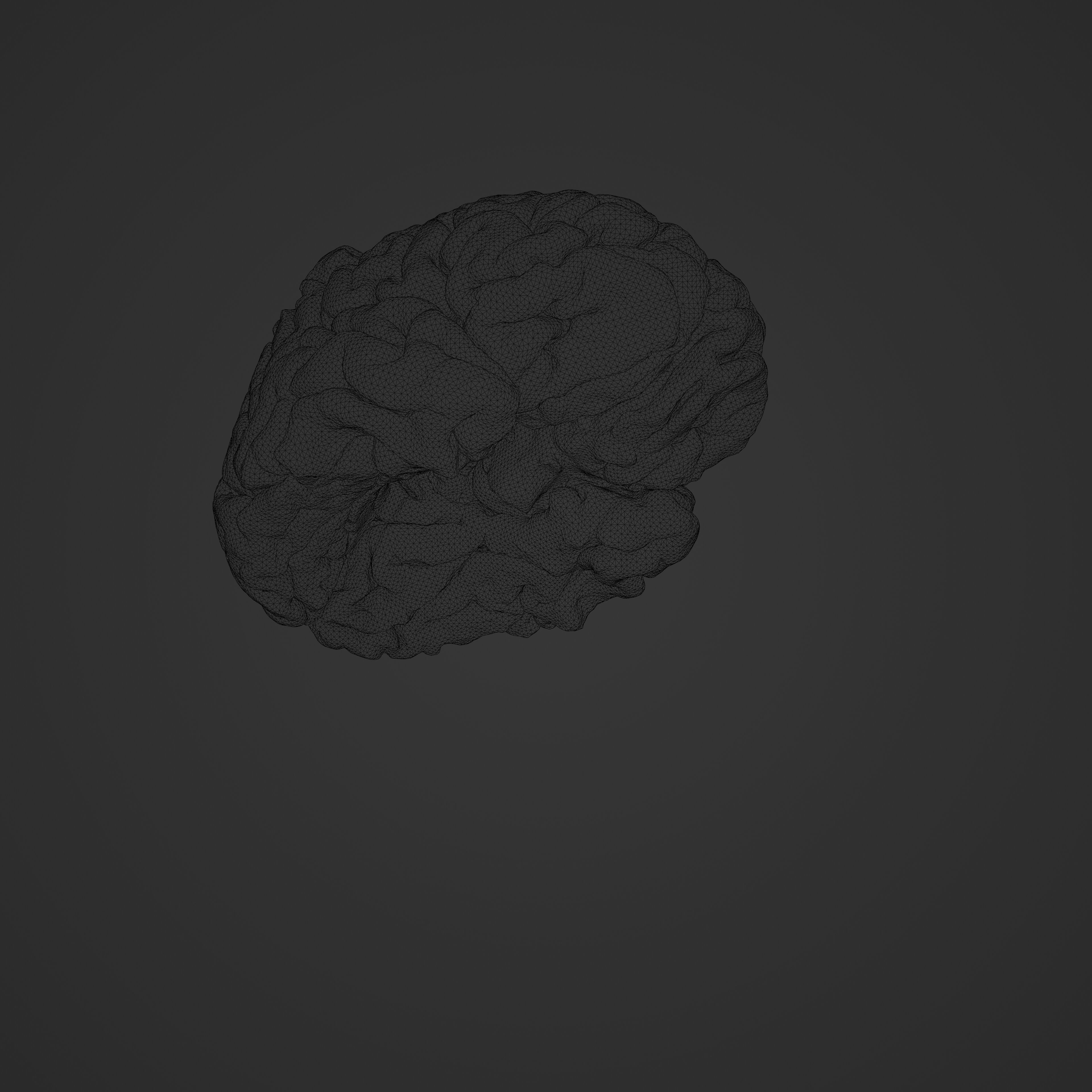 Brain Hologram Animated 3D model_16