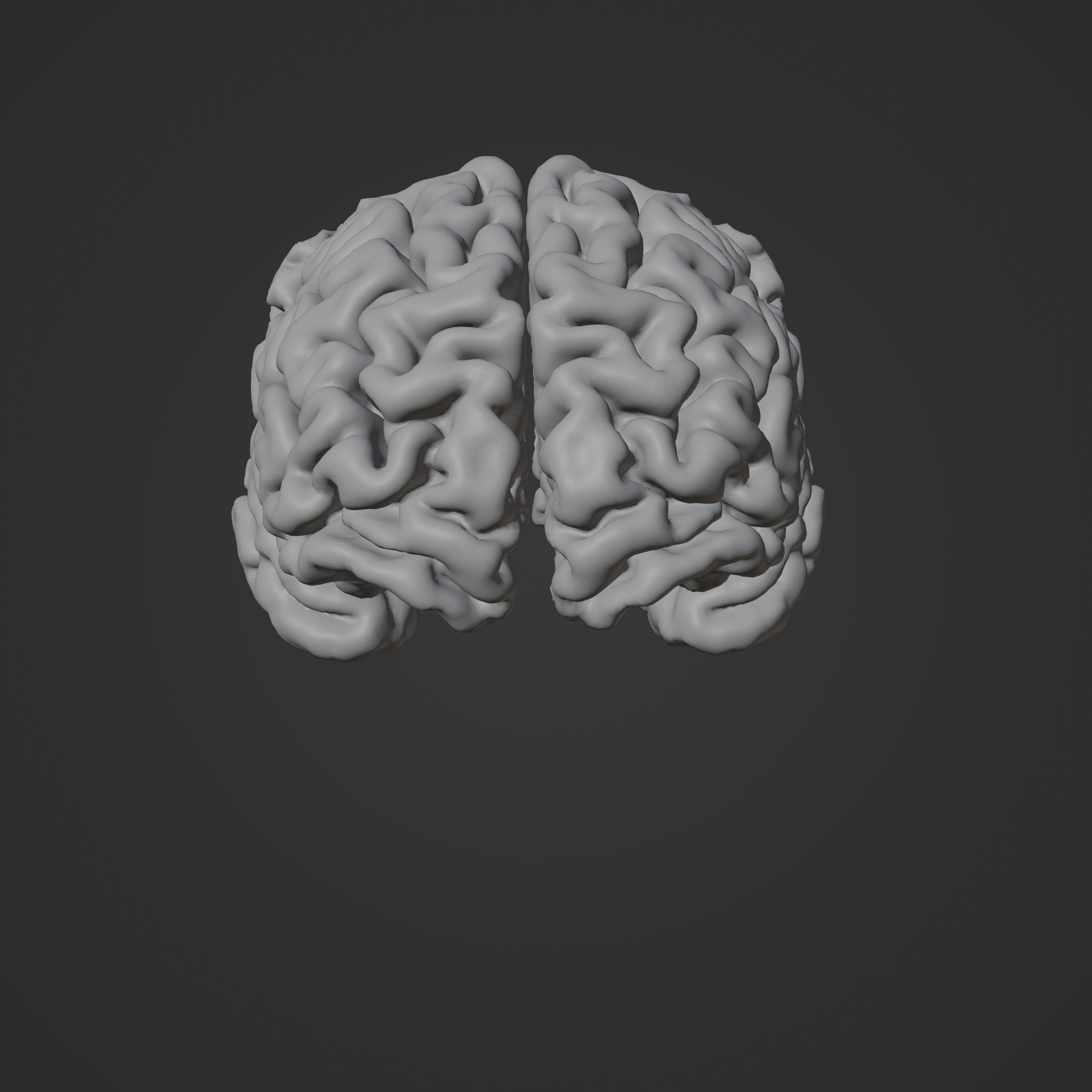 Brain Hologram Animated 3D model_5