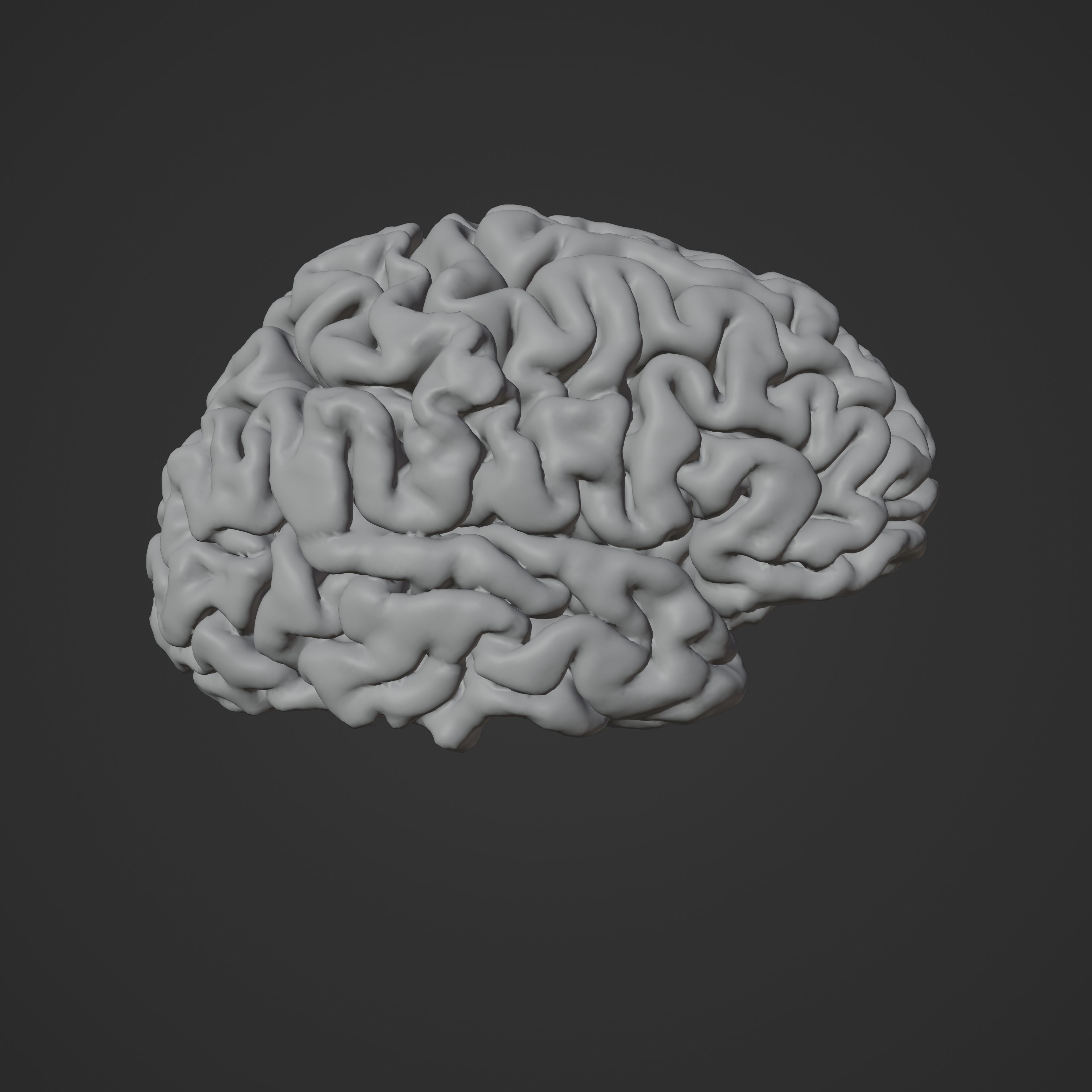 Brain Hologram Animated 3D model_9