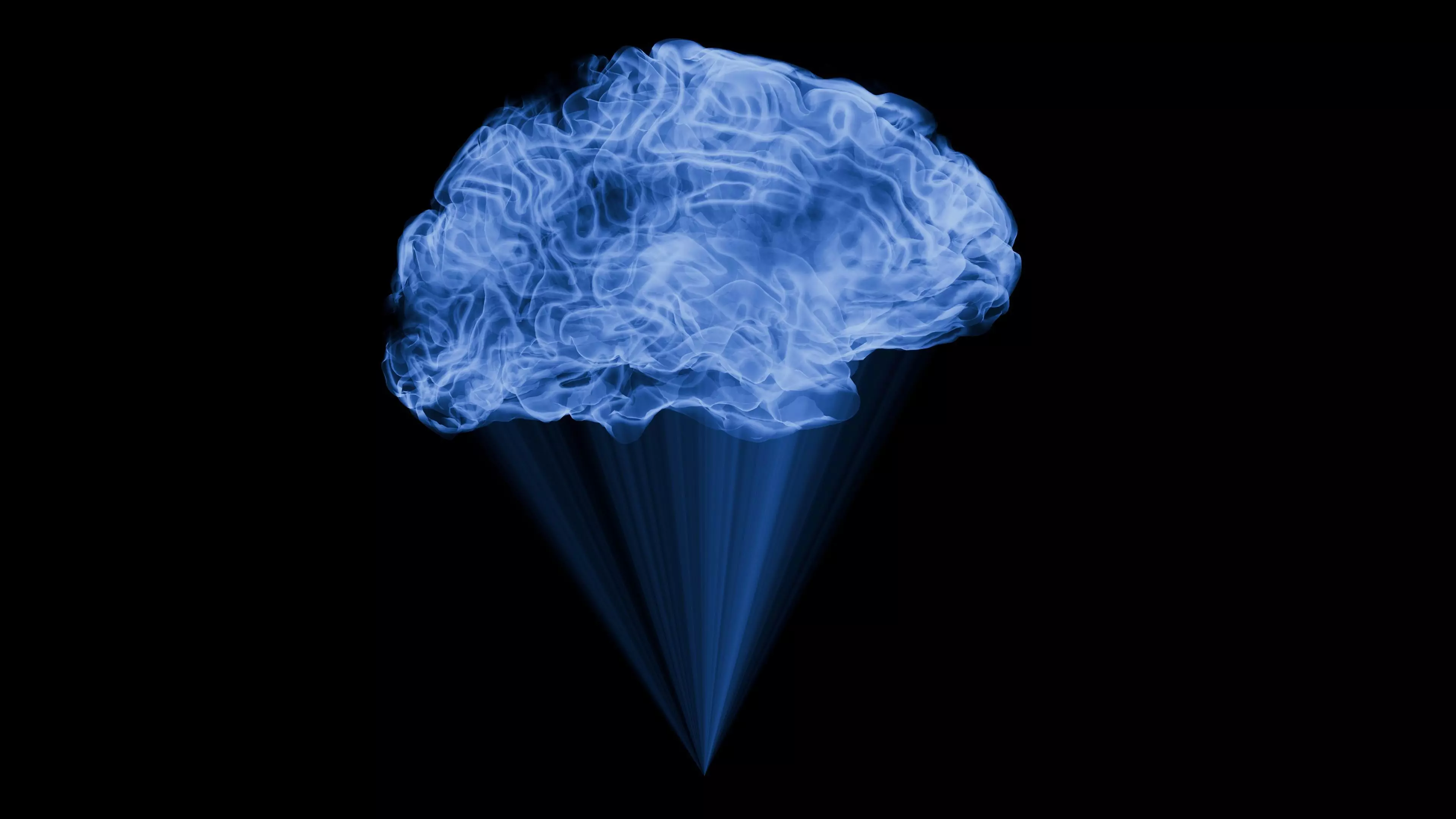 Brain Hologram Animated 3D model_0