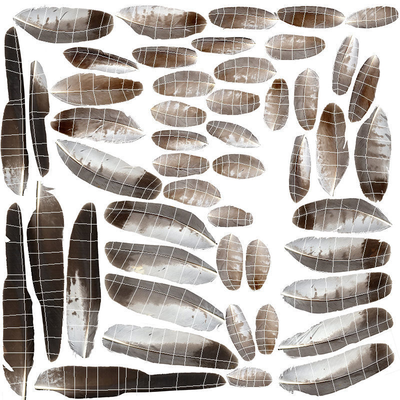 Hen Harrier Low-poly 3D model_13